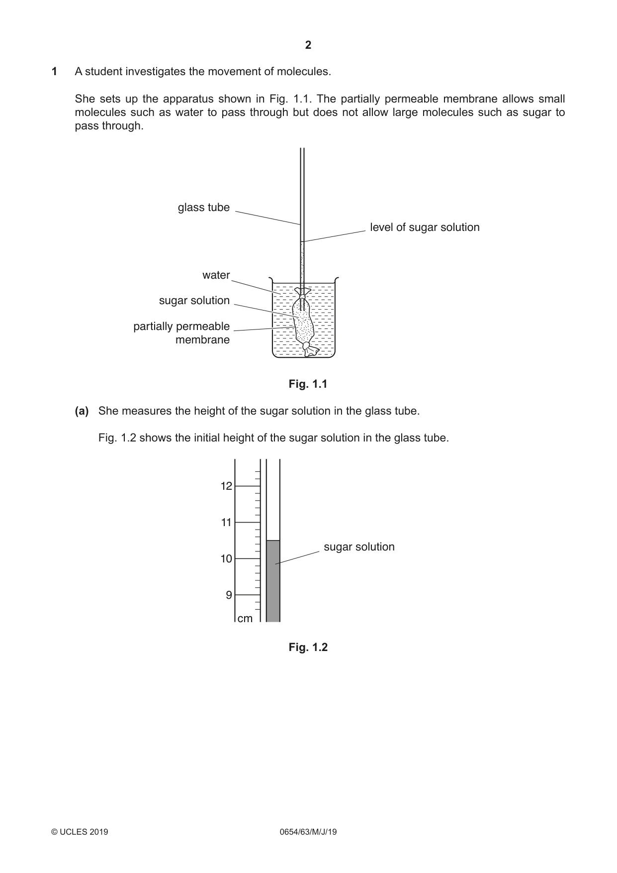 Cambridge IGCSE Sciences - Co-ordinated (Double) 0654 2019 May/June Paper 6 · Variant 3 question paper, page 2 of 20