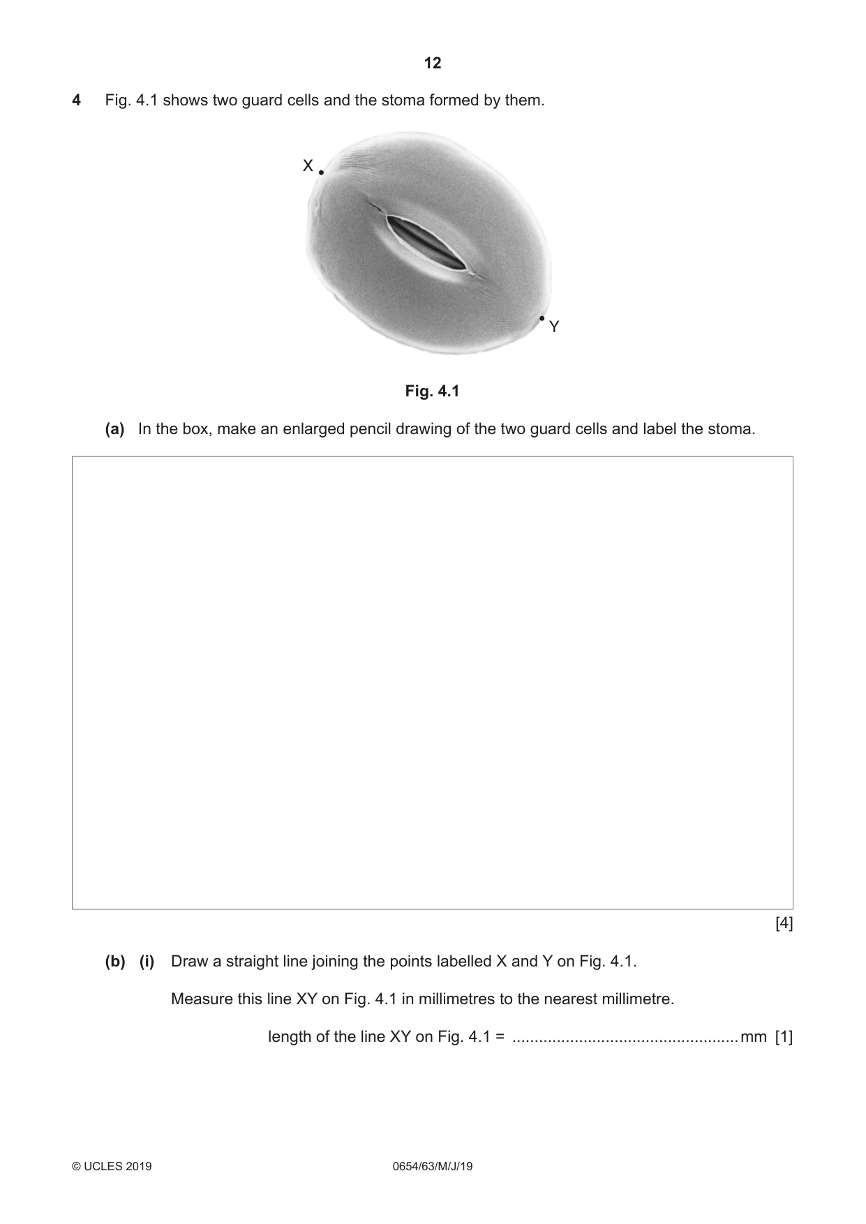 Cambridge IGCSE Sciences - Co-ordinated (Double) 0654 2019 May/June Paper 6 · Variant 3 question paper, page 12 of 20