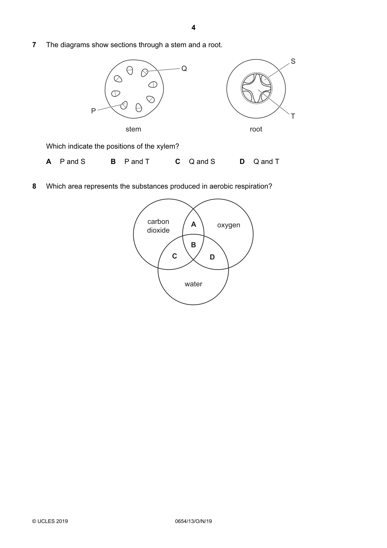 Cambridge IGCSE Sciences - Co-ordinated (Double) 0654 2019 Oct/Nov Paper 1 · Variant 3 question paper, page 4 of 20