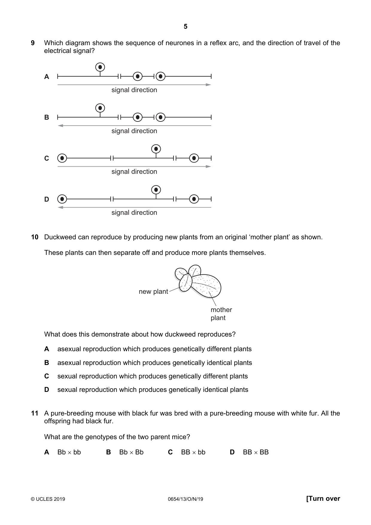 Cambridge IGCSE Sciences - Co-ordinated (Double) 0654 2019 Oct/Nov Paper 1 · Variant 3 question paper, page 5 of 20