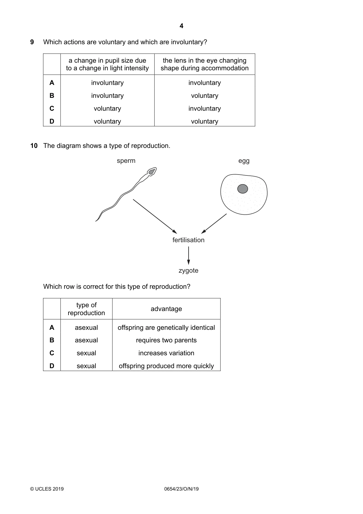 Cambridge IGCSE Sciences - Co-ordinated (Double) 0654 2019 Oct/Nov Paper 2 · Variant 3 question paper, page 4 of 16