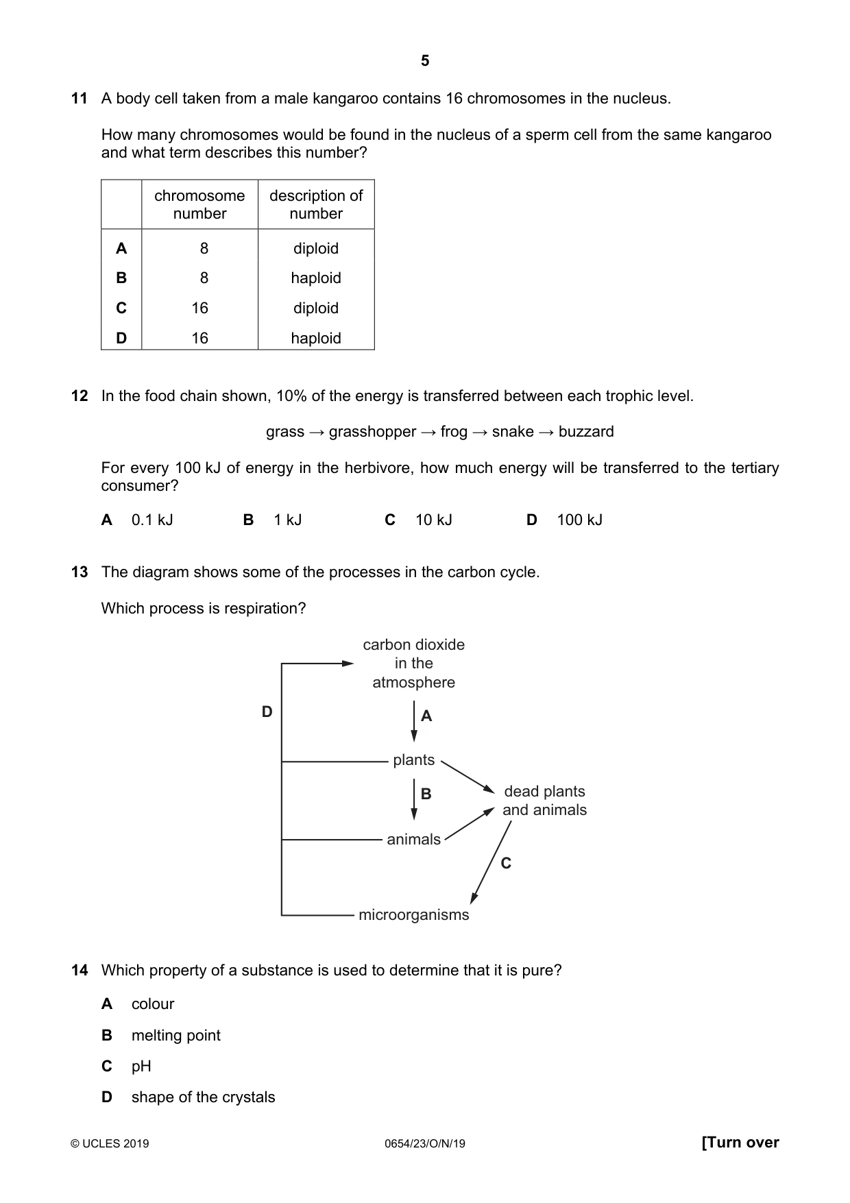 Cambridge IGCSE Sciences - Co-ordinated (Double) 0654 2019 Oct/Nov Paper 2 · Variant 3 question paper, page 5 of 16