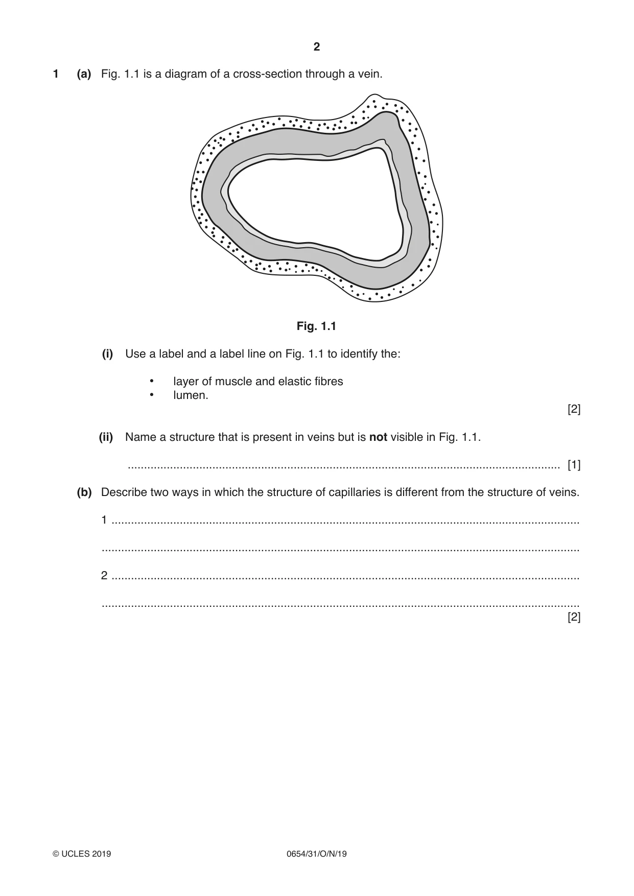 Cambridge IGCSE Sciences - Co-ordinated (Double) 0654 2019 Oct/Nov Paper 3 · Variant 1 question paper, page 2 of 32