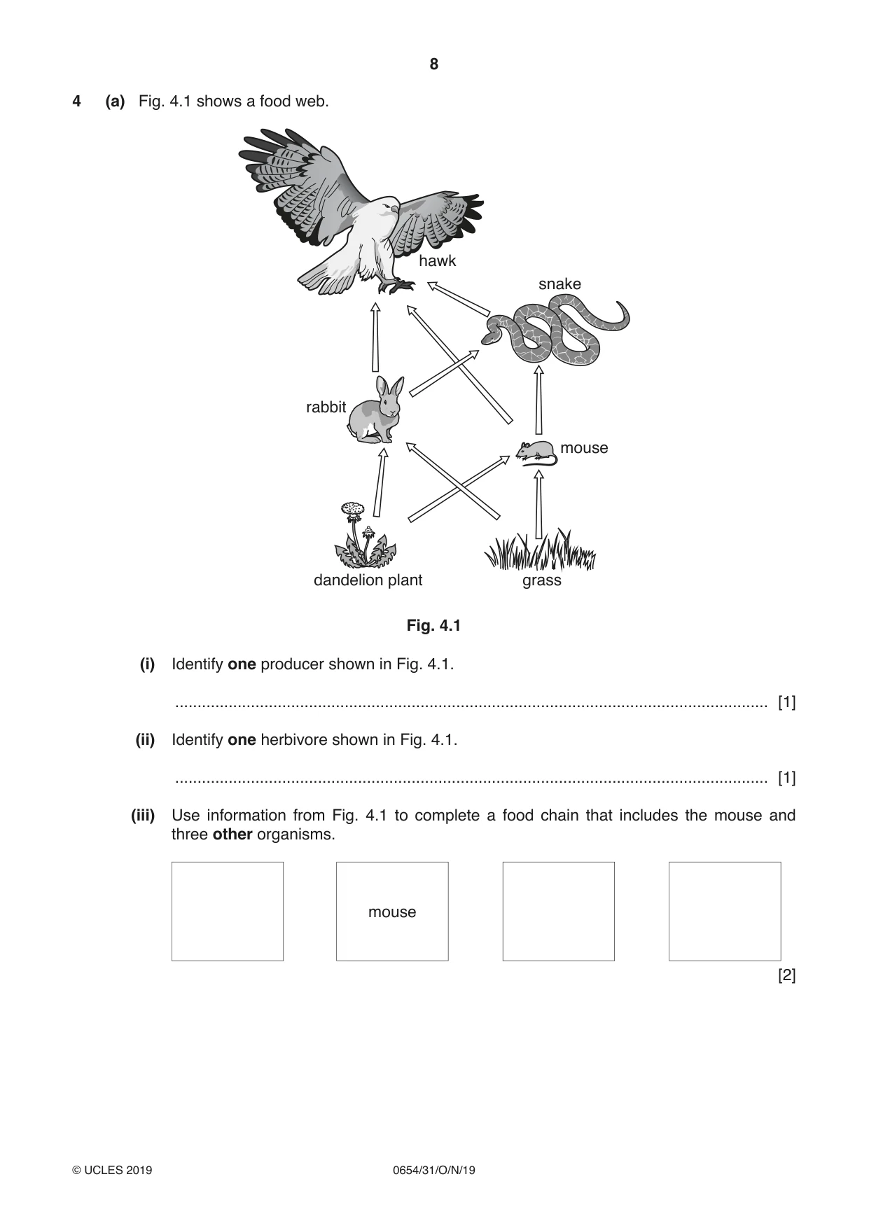 Cambridge IGCSE Sciences - Co-ordinated (Double) 0654 2019 Oct/Nov Paper 3 · Variant 1 question paper, page 8 of 32