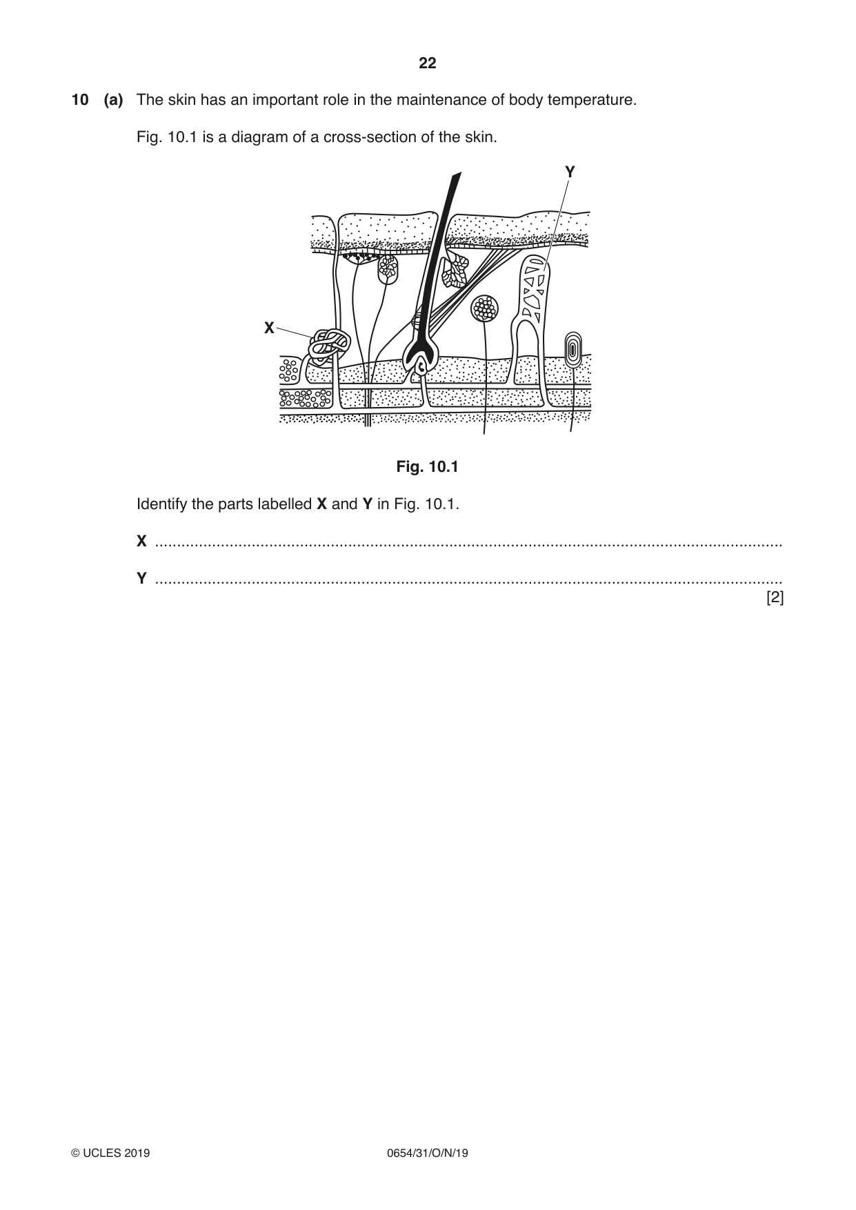 Cambridge IGCSE Sciences - Co-ordinated (Double) 0654 2019 Oct/Nov Paper 3 · Variant 1 question paper, page 22 of 32