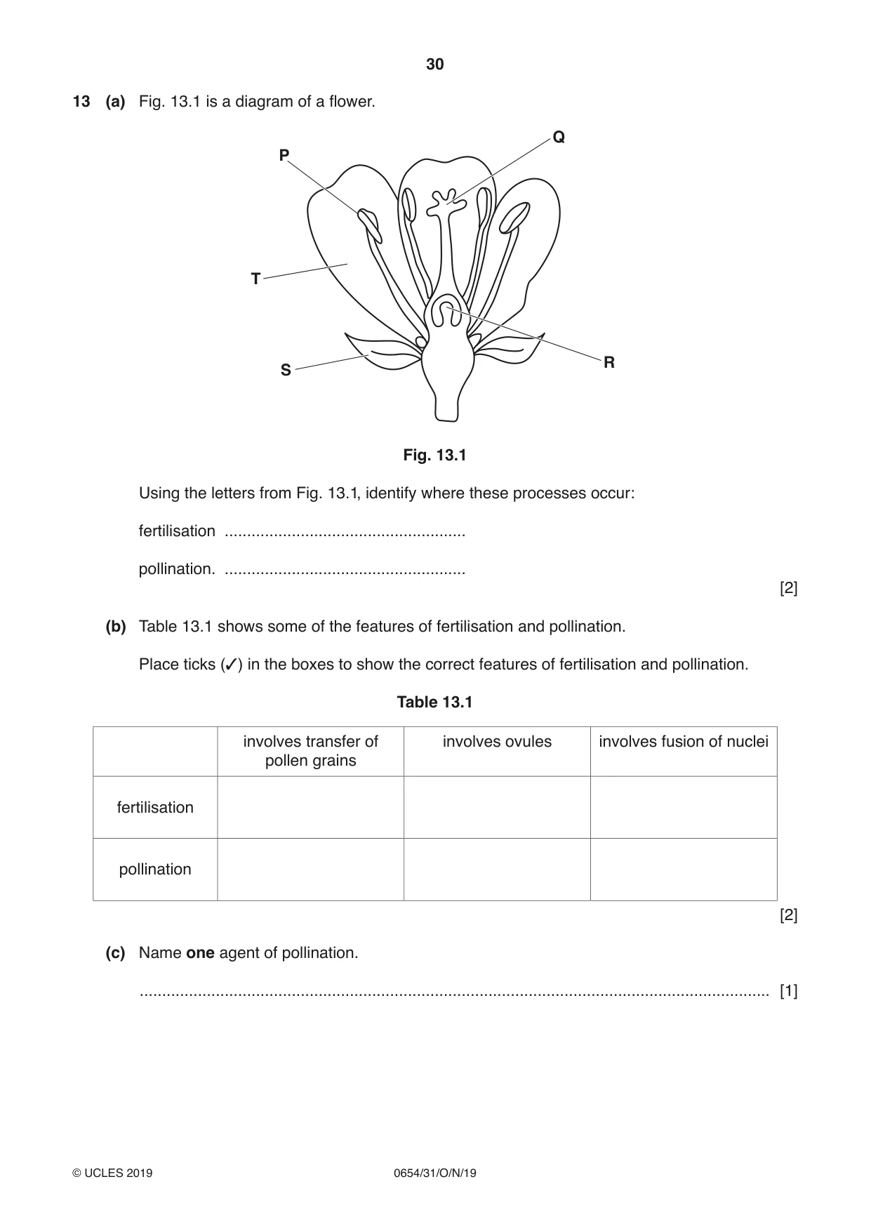 Cambridge IGCSE Sciences - Co-ordinated (Double) 0654 2019 Oct/Nov Paper 3 · Variant 1 question paper, page 30 of 32