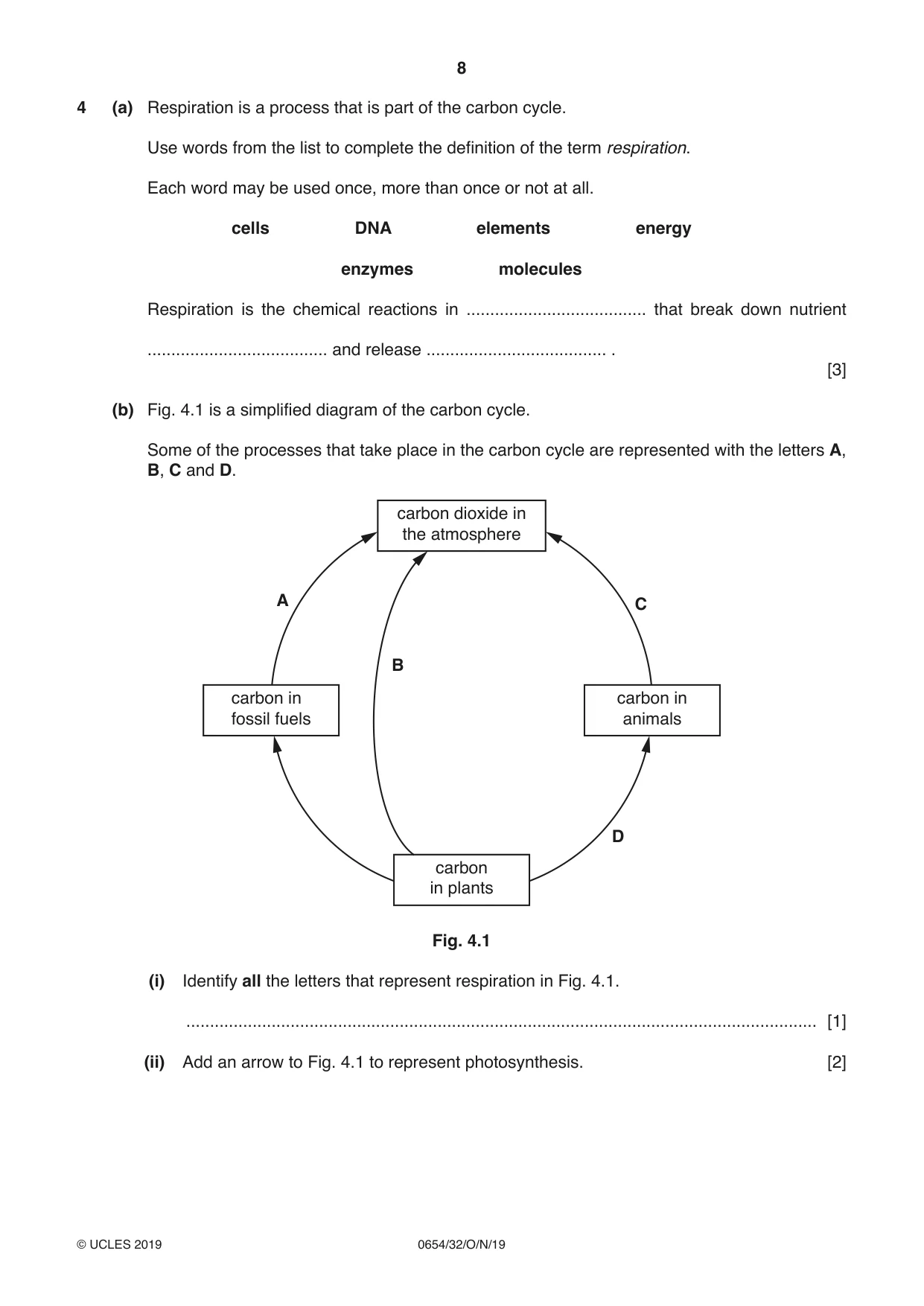 Cambridge IGCSE Sciences - Co-ordinated (Double) 0654 2019 Oct/Nov Paper 3 · Variant 2 question paper, page 8 of 32