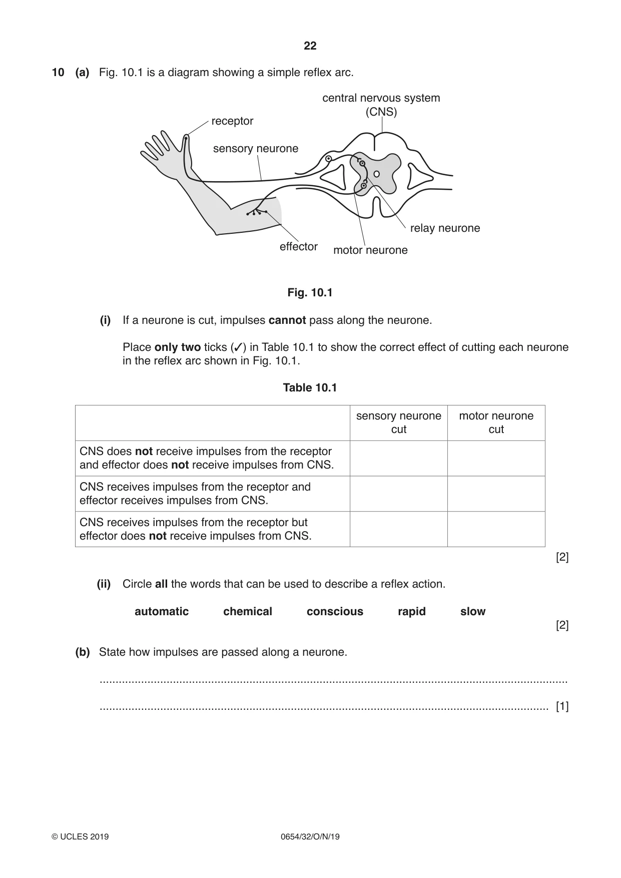 Cambridge IGCSE Sciences - Co-ordinated (Double) 0654 2019 Oct/Nov Paper 3 · Variant 2 question paper, page 22 of 32