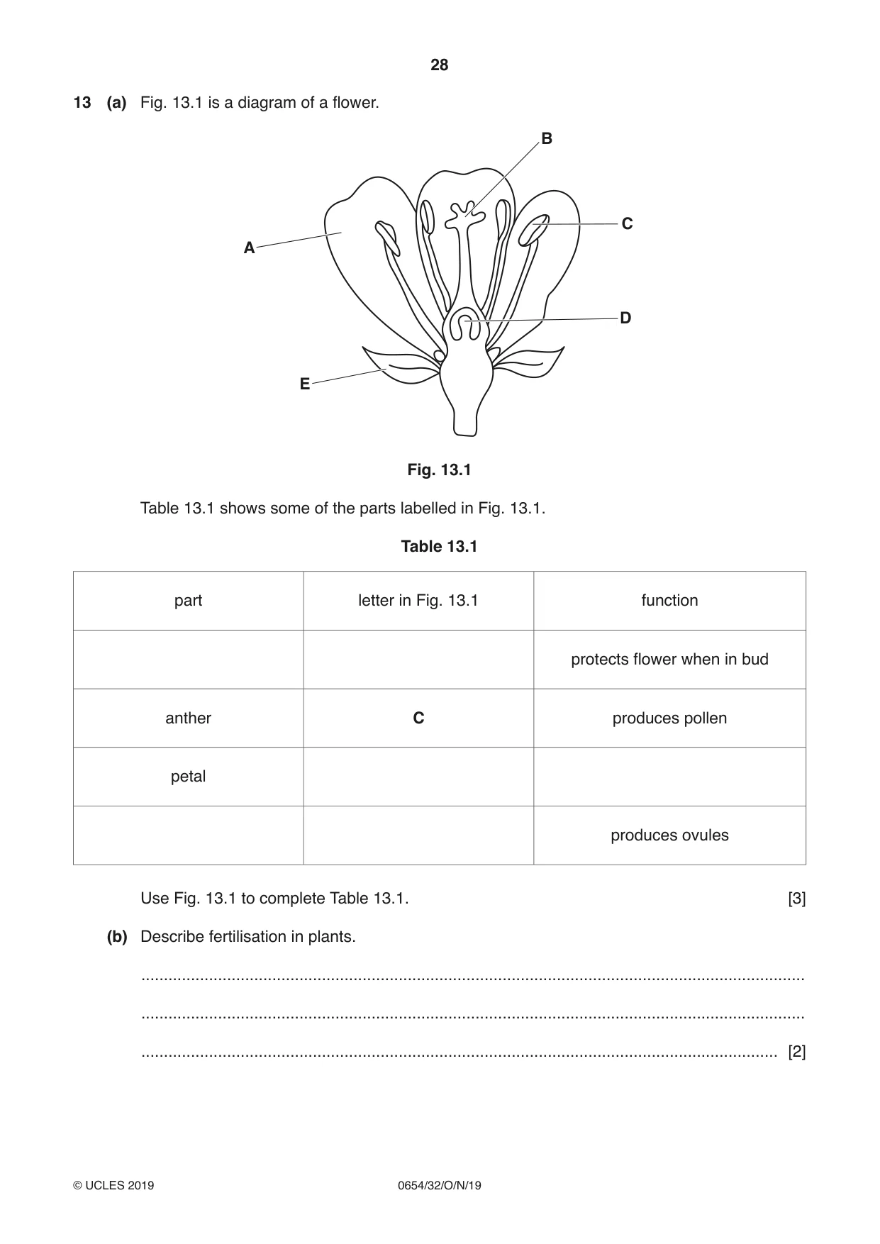Cambridge IGCSE Sciences - Co-ordinated (Double) 0654 2019 Oct/Nov Paper 3 · Variant 2 question paper, page 28 of 32