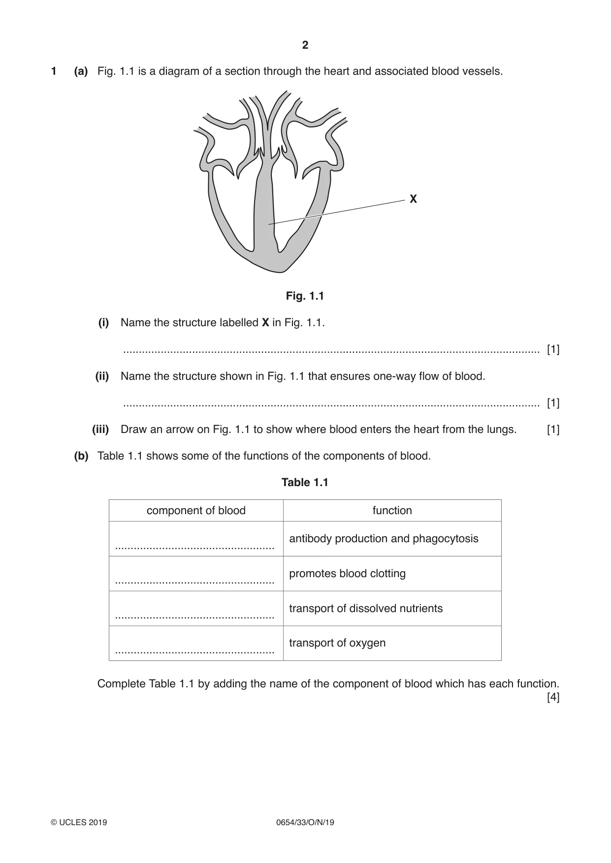 Cambridge IGCSE Sciences - Co-ordinated (Double) 0654 2019 Oct/Nov Paper 3 · Variant 3 question paper, page 2 of 32