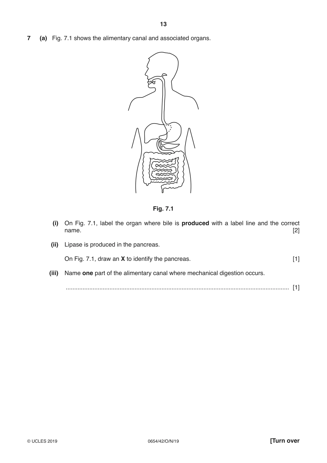 Cambridge IGCSE Sciences - Co-ordinated (Double) 0654 2019 Oct/Nov Paper 4 · Variant 2 question paper, page 13 of 28