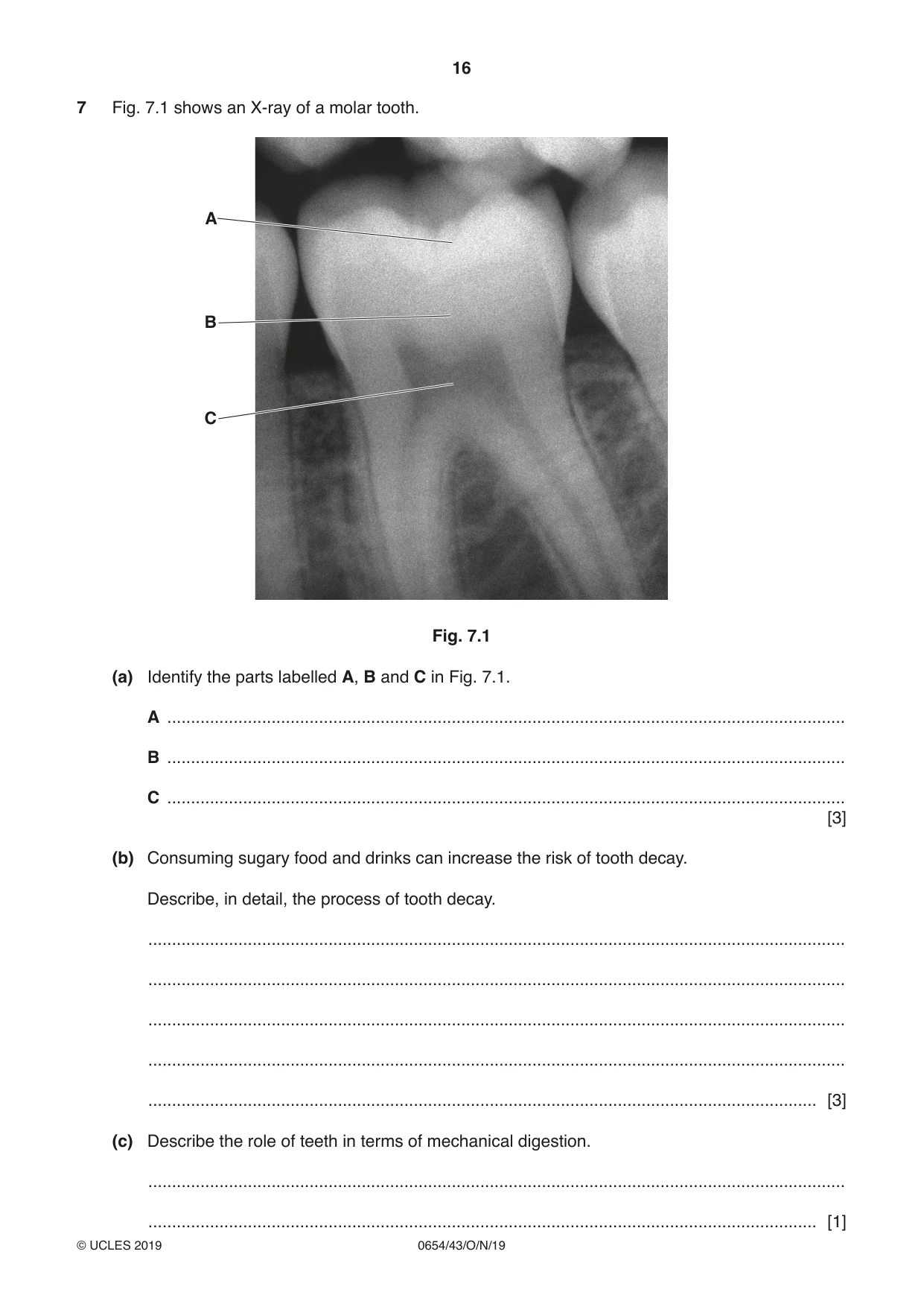 Cambridge IGCSE Sciences - Co-ordinated (Double) 0654 2019 Oct/Nov Paper 4 · Variant 3 question paper, page 16 of 32