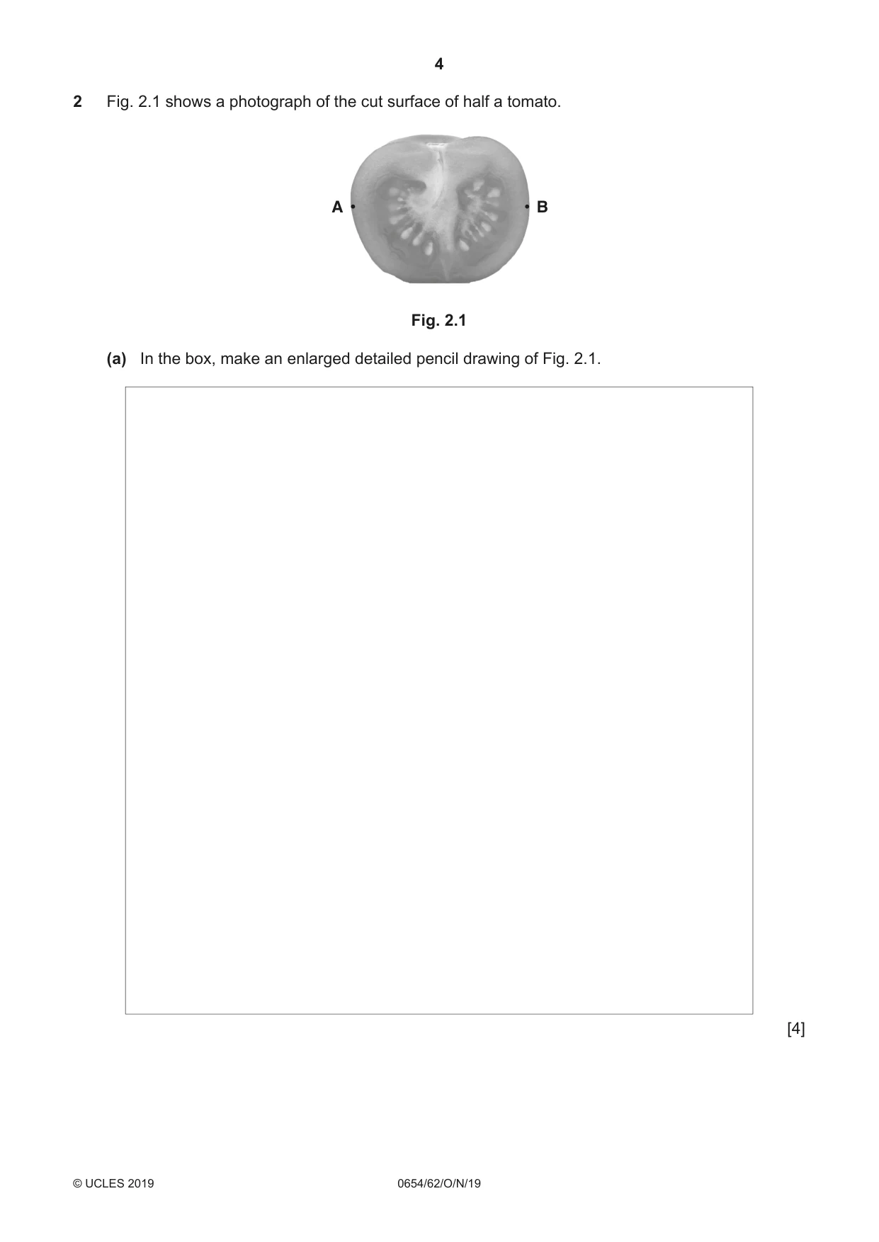 Cambridge IGCSE Sciences - Co-ordinated (Double) 0654 2019 Oct/Nov Paper 6 · Variant 2 question paper, page 4 of 20