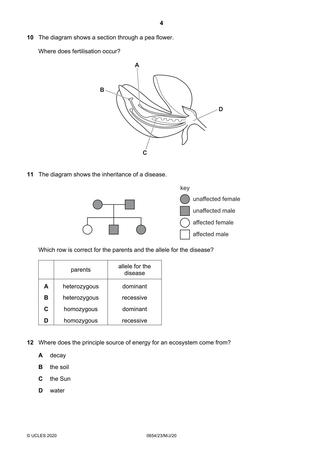 Cambridge IGCSE Sciences - Co-ordinated (Double) 0654 2020 May/June Paper 2 · Variant 3 question paper, page 4 of 16