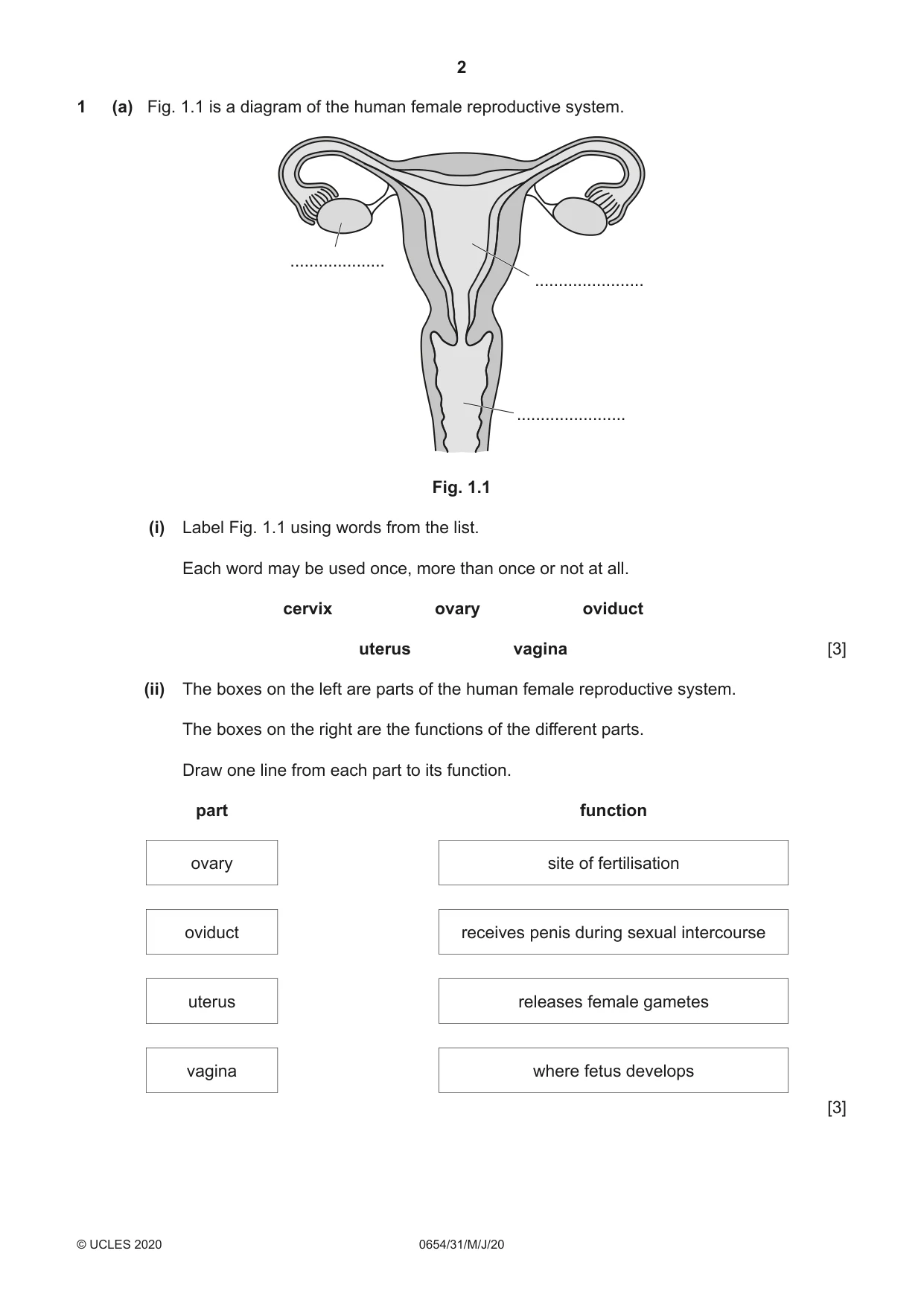 Cambridge IGCSE Sciences - Co-ordinated (Double) 0654 2020 May/June Paper 3 · Variant 1 question paper, page 2 of 32