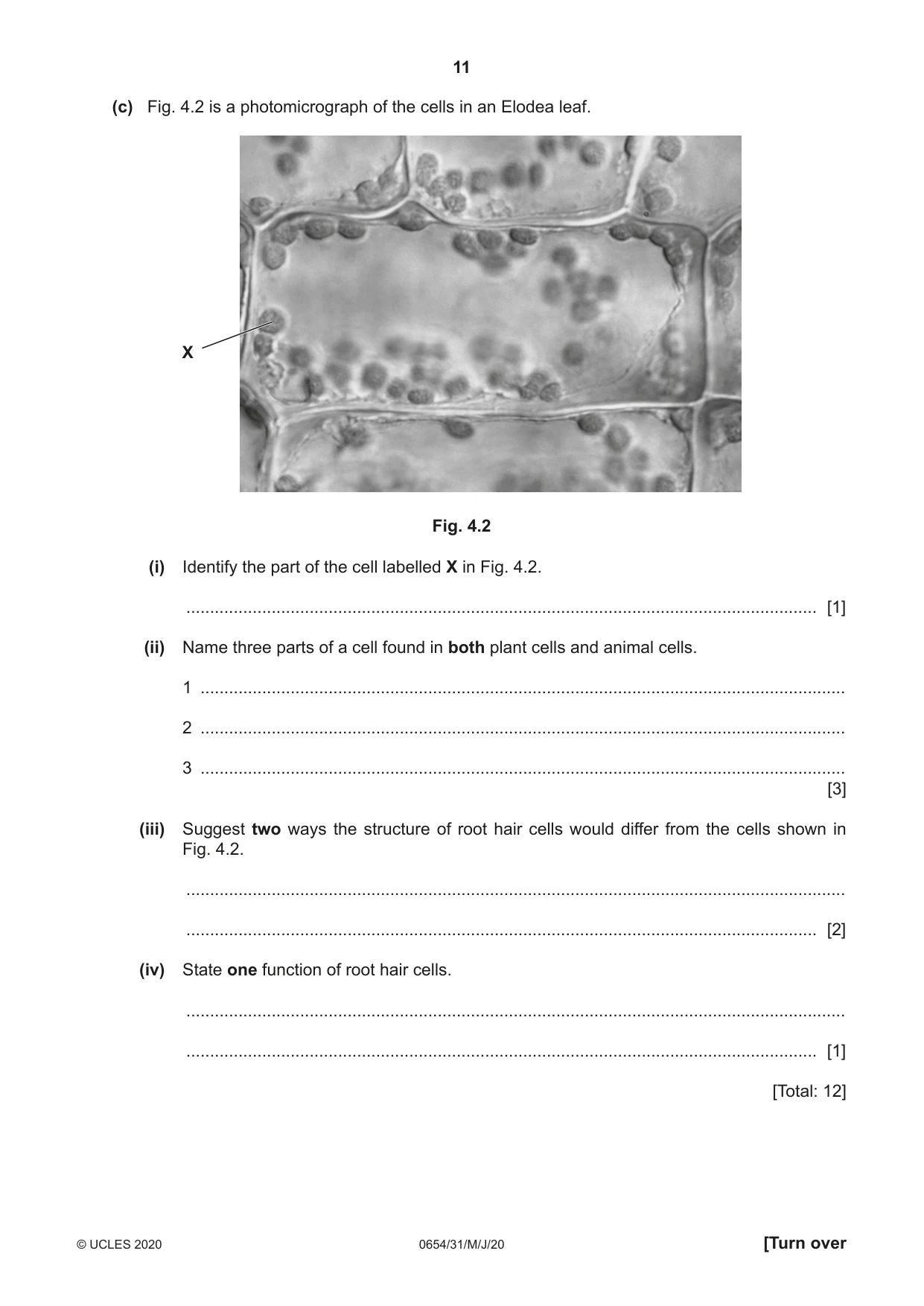 Cambridge IGCSE Sciences - Co-ordinated (Double) 0654 2020 May/June Paper 3 · Variant 1 question paper, page 11 of 32