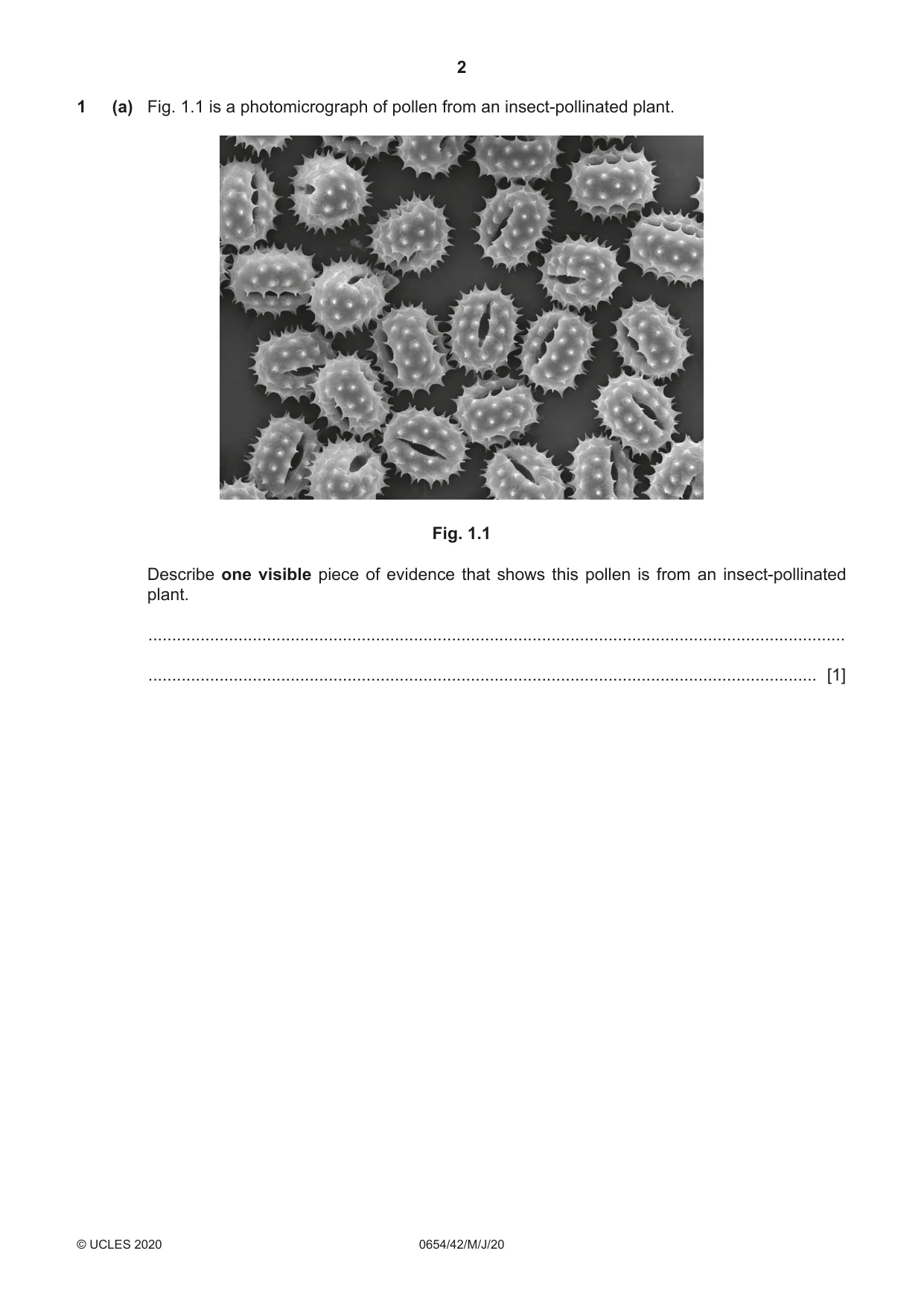 Cambridge IGCSE Sciences - Co-ordinated (Double) 0654 2020 May/June Paper 4 · Variant 2 question paper, page 2 of 32