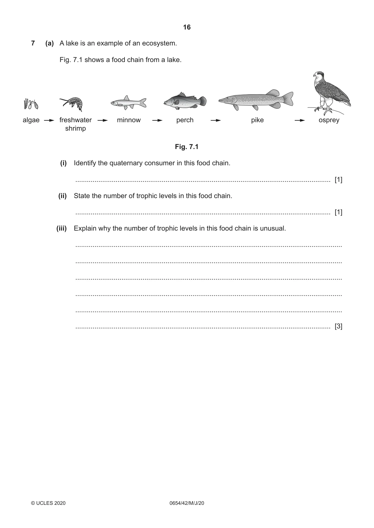 Cambridge IGCSE Sciences - Co-ordinated (Double) 0654 2020 May/June Paper 4 · Variant 2 question paper, page 16 of 32