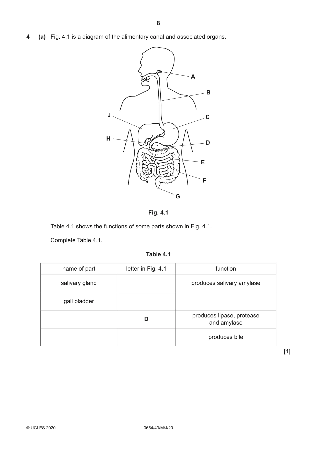 Cambridge IGCSE Sciences - Co-ordinated (Double) 0654 2020 May/June Paper 4 · Variant 3 question paper, page 8 of 28