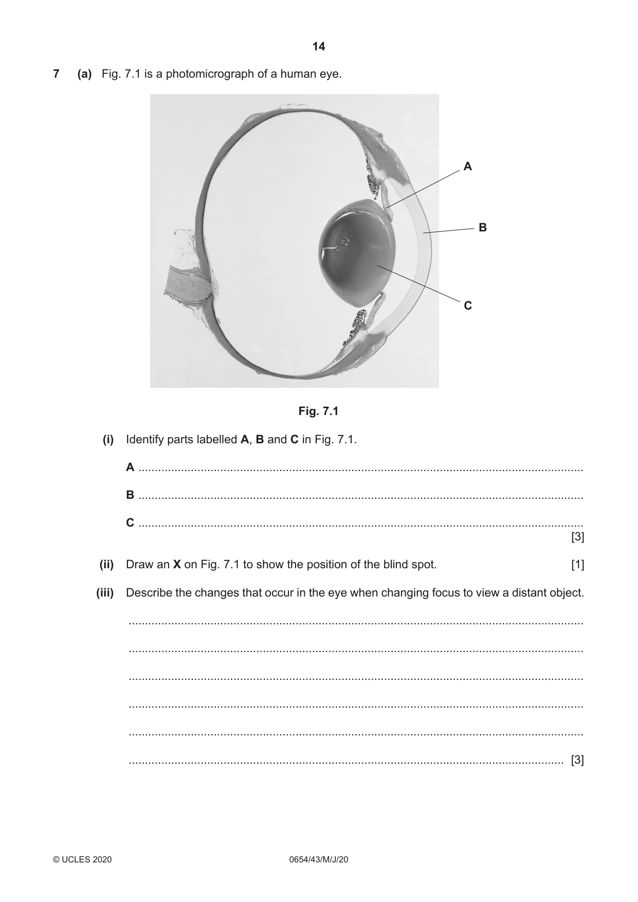 Cambridge IGCSE Sciences - Co-ordinated (Double) 0654 2020 May/June Paper 4 · Variant 3 question paper, page 14 of 28