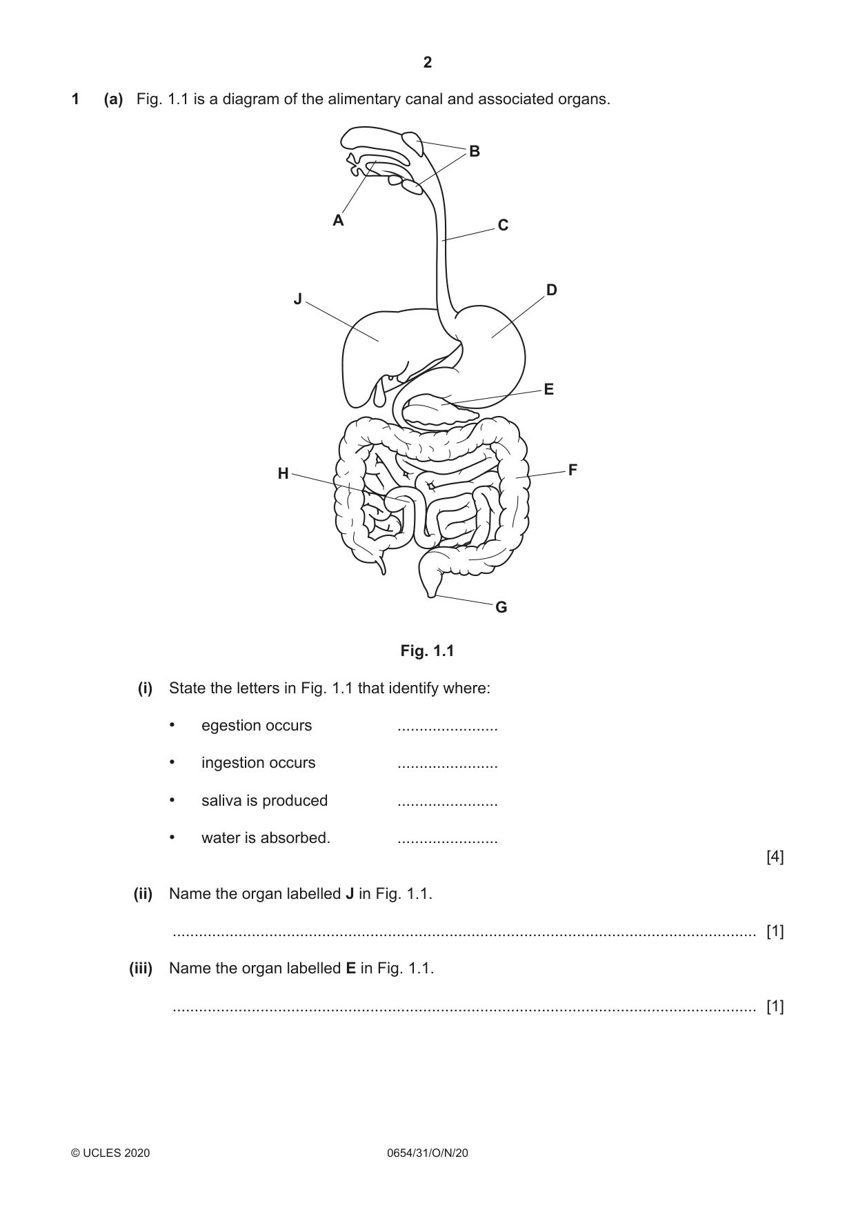 Cambridge IGCSE Sciences - Co-ordinated (Double) 0654 2020 Oct/Nov Paper 3 · Variant 1 question paper, page 2 of 32