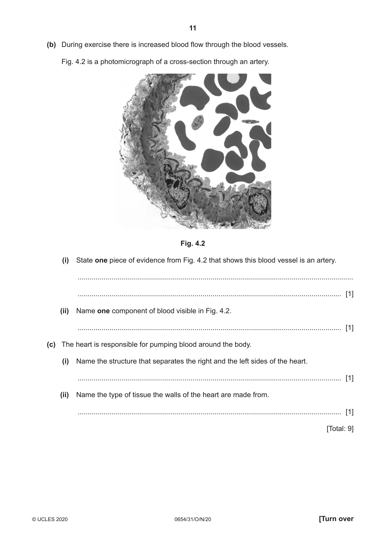 Cambridge IGCSE Sciences - Co-ordinated (Double) 0654 2020 Oct/Nov Paper 3 · Variant 1 question paper, page 11 of 32