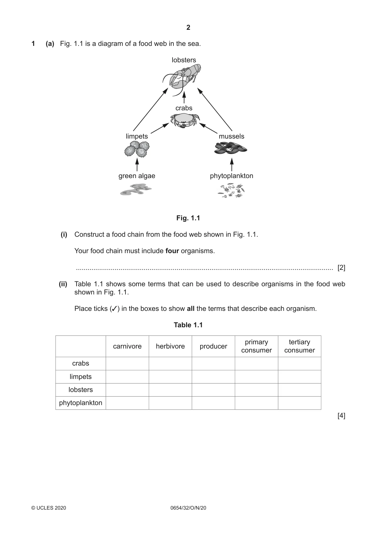 Cambridge IGCSE Sciences - Co-ordinated (Double) 0654 2020 Oct/Nov Paper 3 · Variant 2 question paper, page 2 of 32