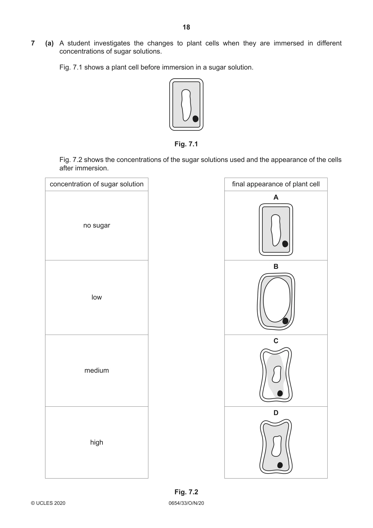 Cambridge IGCSE Sciences - Co-ordinated (Double) 0654 2020 Oct/Nov Paper 3 · Variant 3 question paper, page 18 of 32