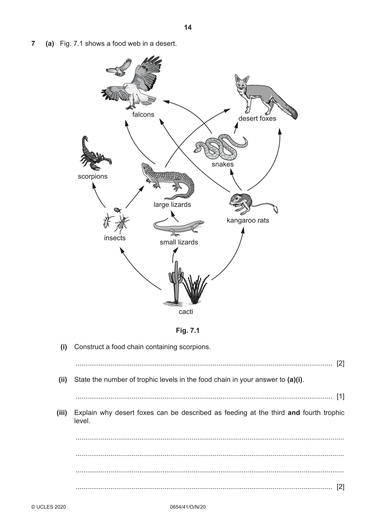 Cambridge IGCSE Sciences - Co-ordinated (Double) 0654 2020 Oct/Nov Paper 4 · Variant 1 question paper, page 14 of 28
