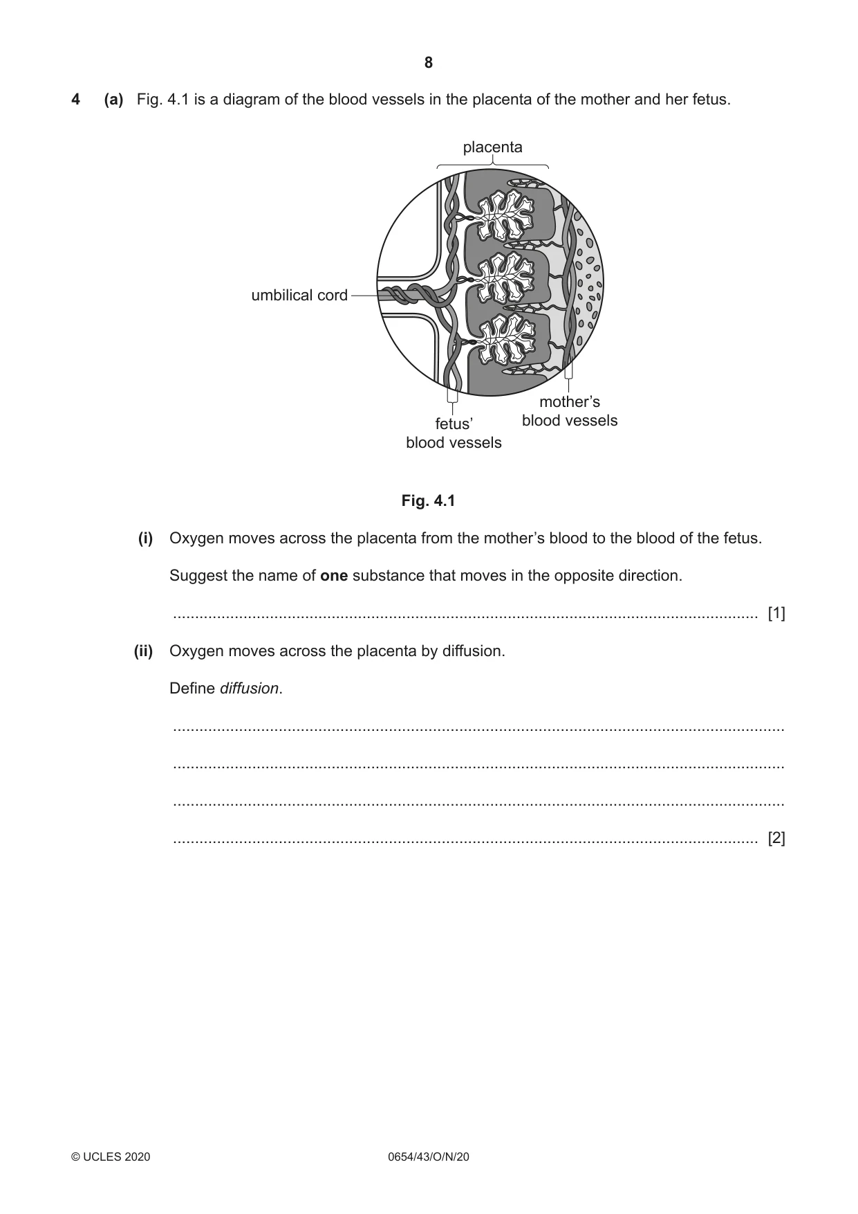 Cambridge IGCSE Sciences - Co-ordinated (Double) 0654 2020 Oct/Nov Paper 4 · Variant 3 question paper, page 8 of 28