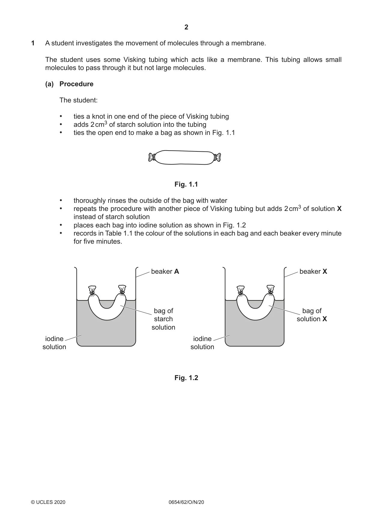 Cambridge IGCSE Sciences - Co-ordinated (Double) 0654 2020 Oct/Nov Paper 6 · Variant 2 question paper, page 2 of 20