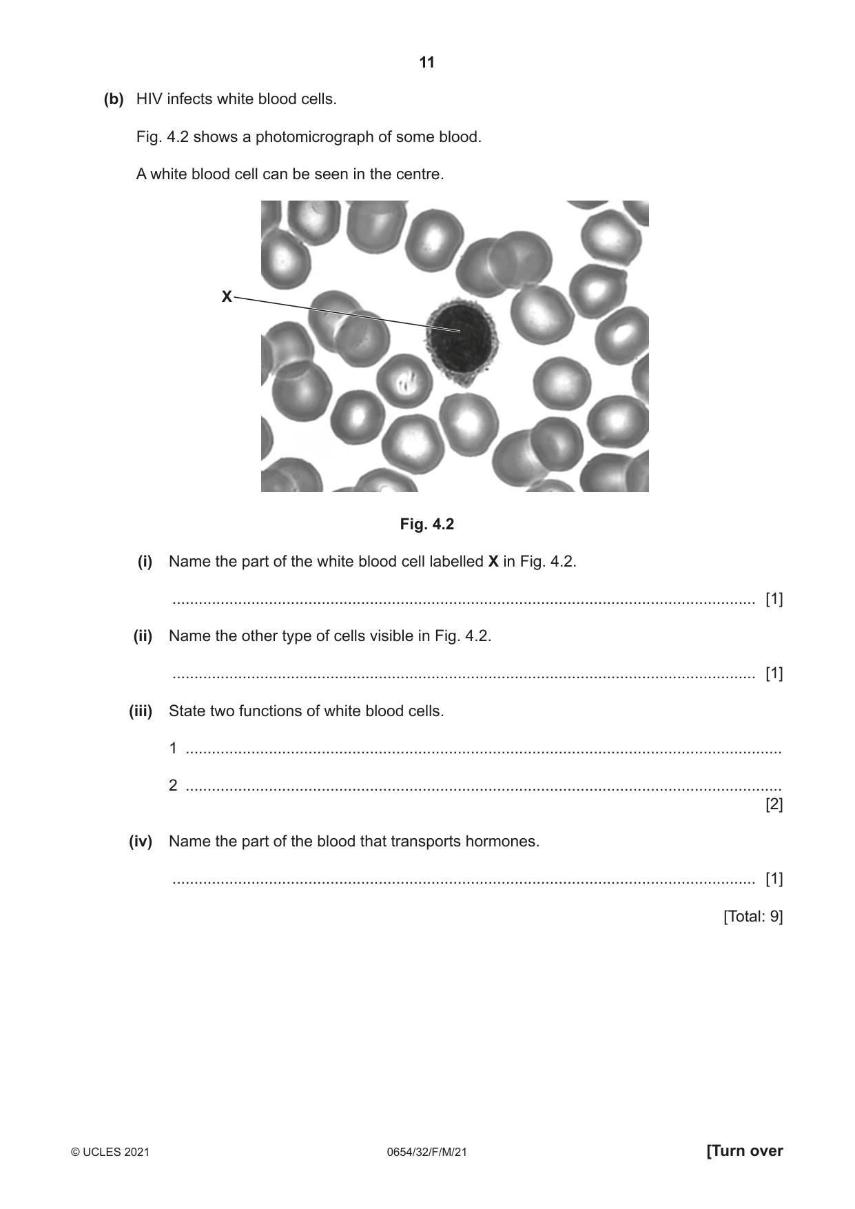 Cambridge IGCSE Sciences - Co-ordinated (Double) 0654 2021 Feb/March Paper 3 · Variant 2 question paper, page 11 of 28