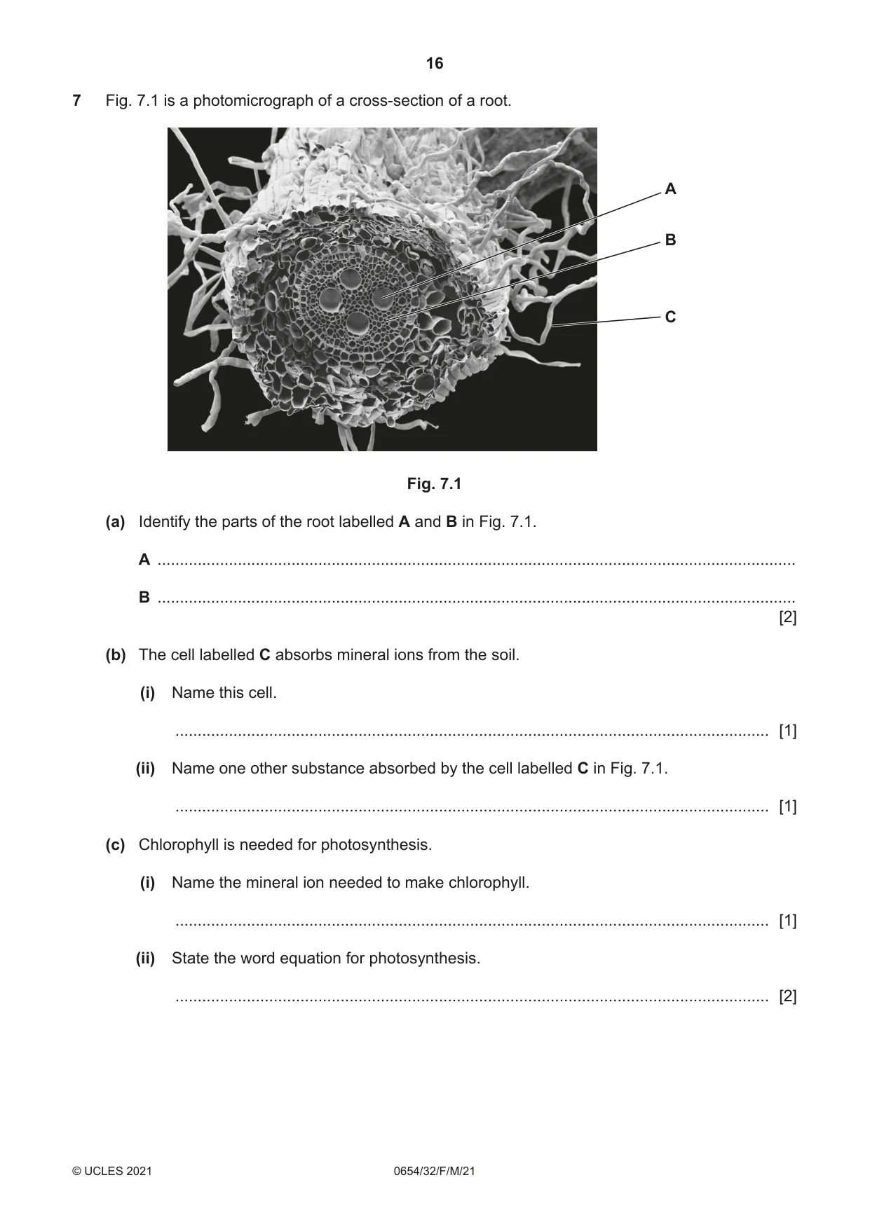Cambridge IGCSE Sciences - Co-ordinated (Double) 0654 2021 Feb/March Paper 3 · Variant 2 question paper, page 16 of 28