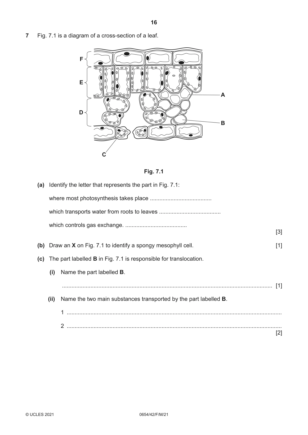 Cambridge IGCSE Sciences - Co-ordinated (Double) 0654 2021 Feb/March Paper 4 · Variant 2 question paper, page 16 of 28