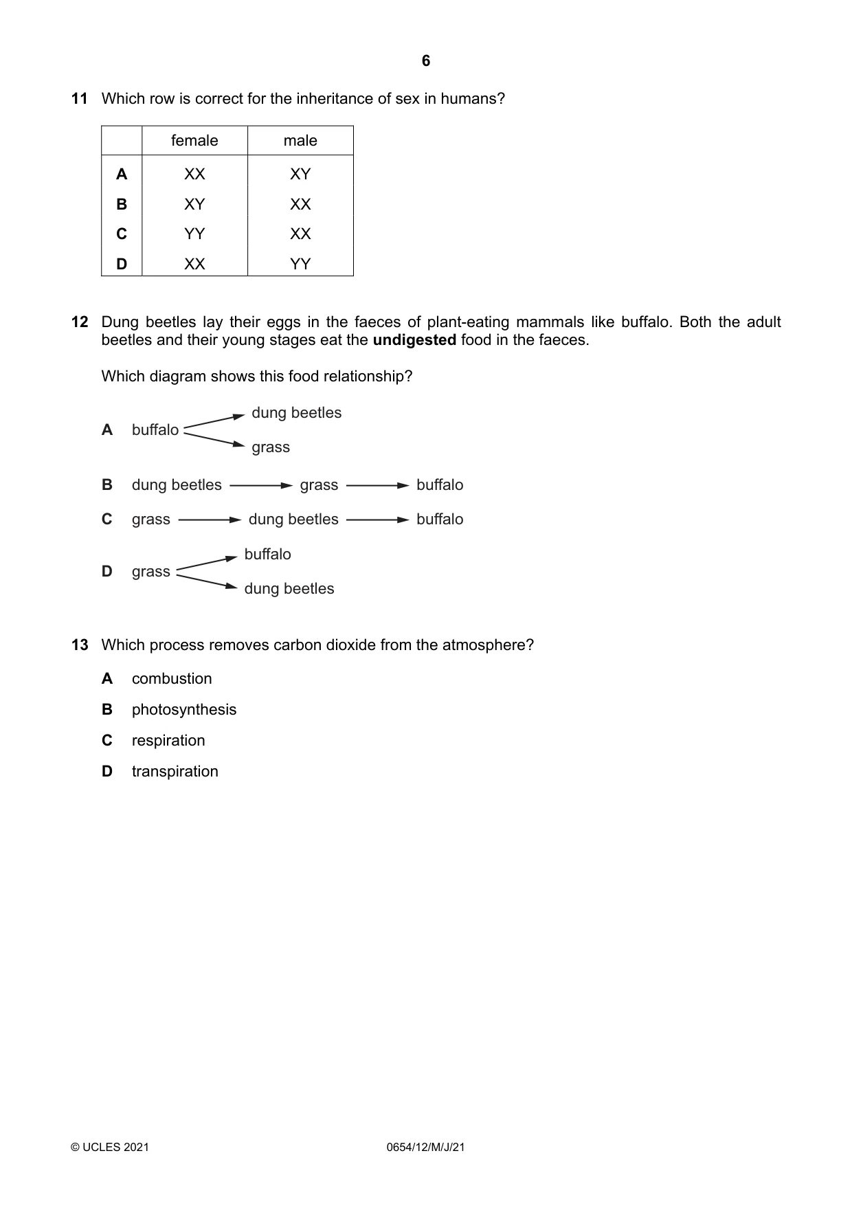Cambridge IGCSE Sciences - Co-ordinated (Double) 0654 2021 May/June Paper 1 · Variant 2 question paper, page 6 of 16