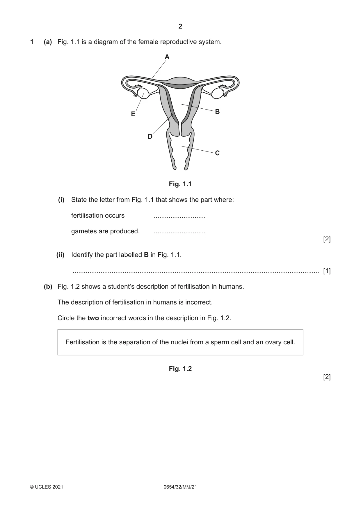 Cambridge IGCSE Sciences - Co-ordinated (Double) 0654 2021 May/June Paper 3 · Variant 2 question paper, page 2 of 28