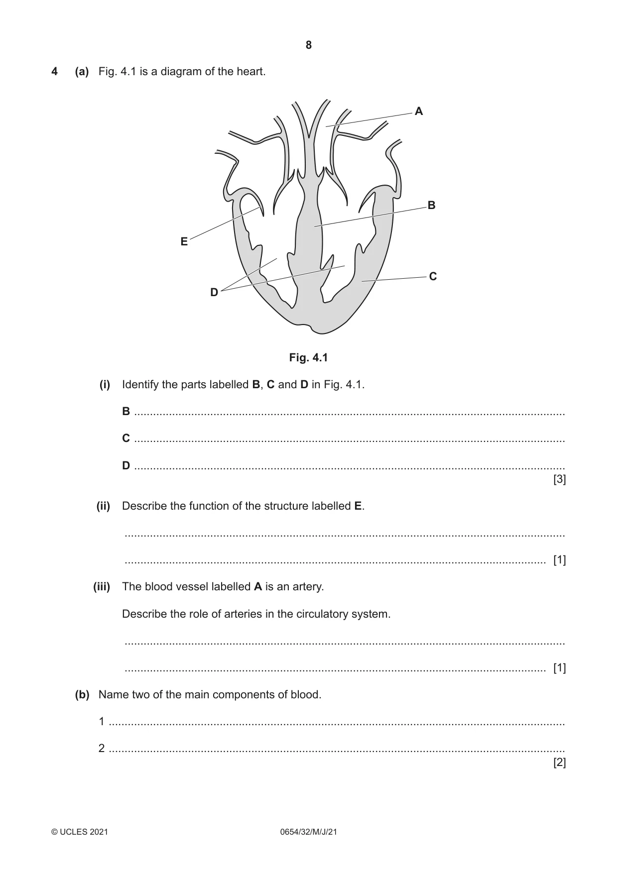 Cambridge IGCSE Sciences - Co-ordinated (Double) 0654 2021 May/June Paper 3 · Variant 2 question paper, page 8 of 28