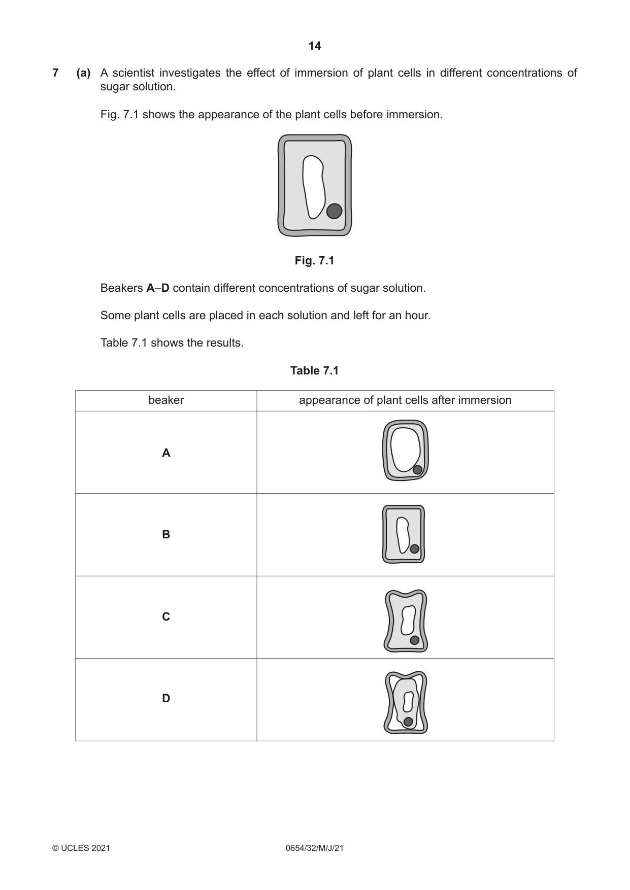 Cambridge IGCSE Sciences - Co-ordinated (Double) 0654 2021 May/June Paper 3 · Variant 2 question paper, page 14 of 28