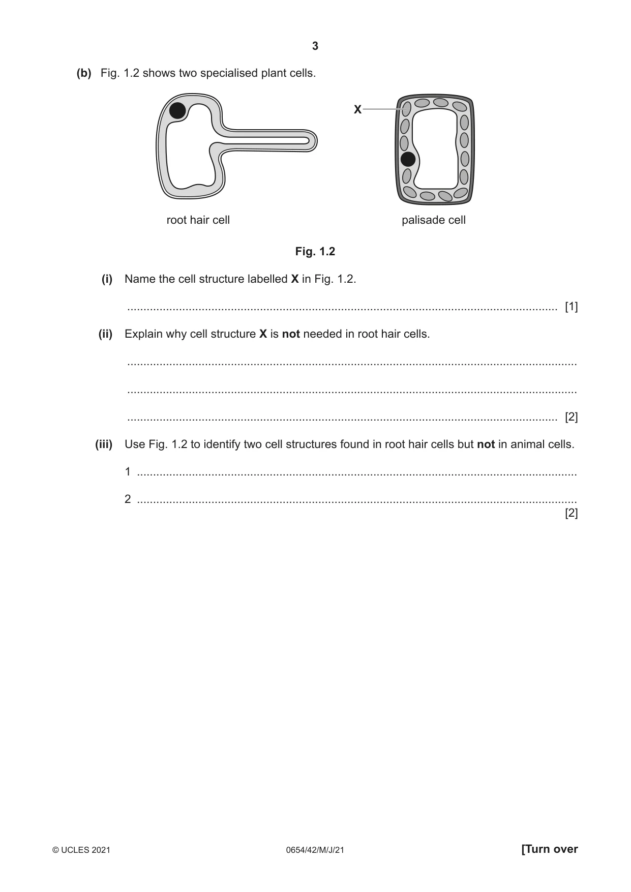 Cambridge IGCSE Sciences - Co-ordinated (Double) 0654 2021 May/June Paper 4 · Variant 2 question paper, page 3 of 28