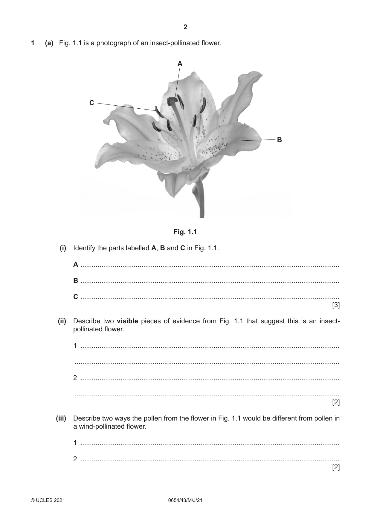 Cambridge IGCSE Sciences - Co-ordinated (Double) 0654 2021 May/June Paper 4 · Variant 3 question paper, page 2 of 28