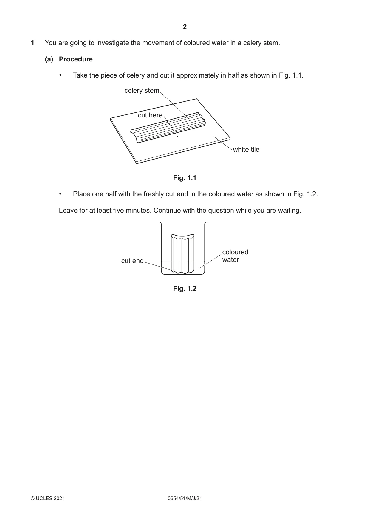 Cambridge IGCSE Sciences - Co-ordinated (Double) 0654 2021 May/June Paper 5 · Variant 1 question paper, page 2 of 20