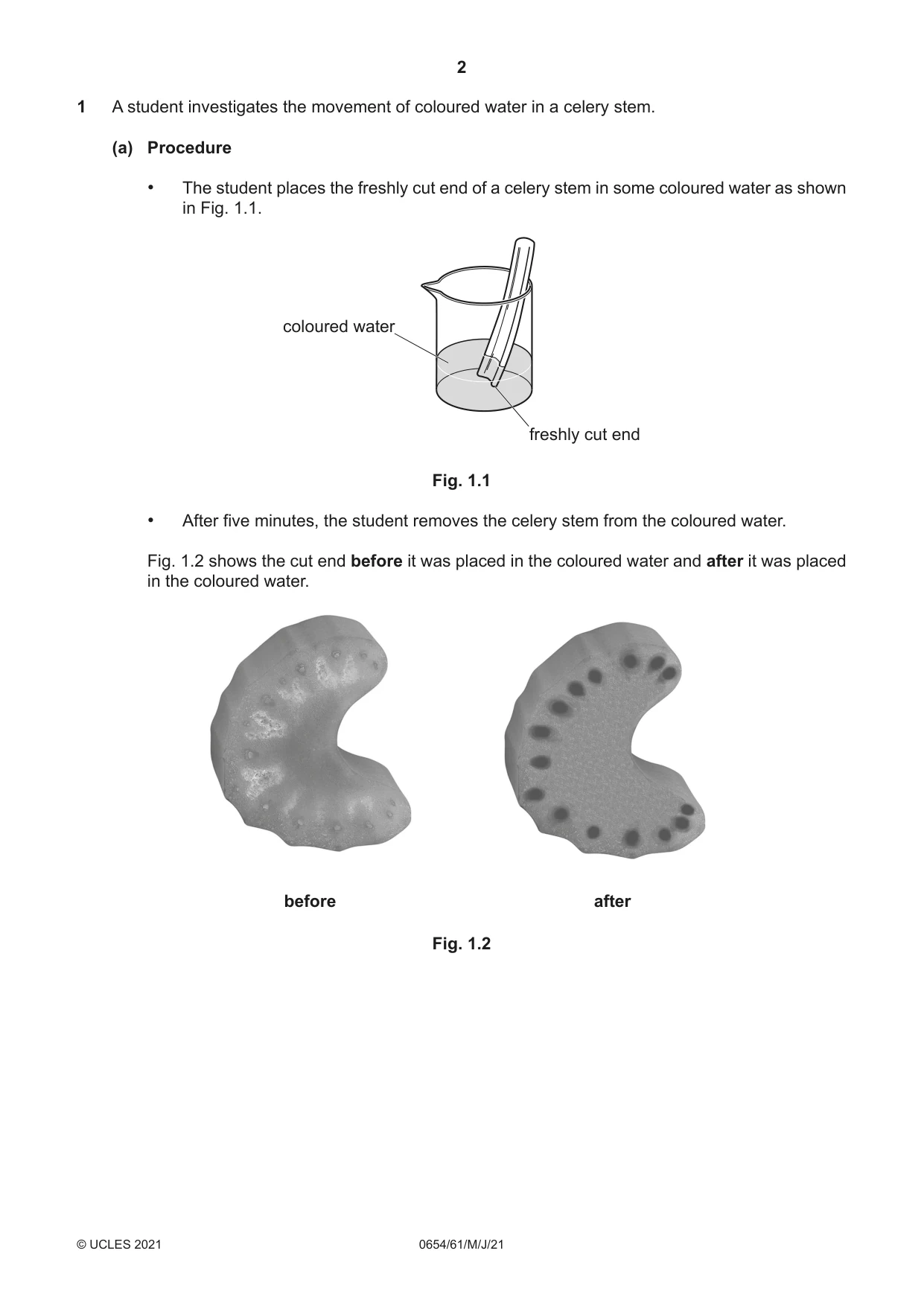 Cambridge IGCSE Sciences - Co-ordinated (Double) 0654 2021 May/June Paper 6 · Variant 1 question paper, page 2 of 20
