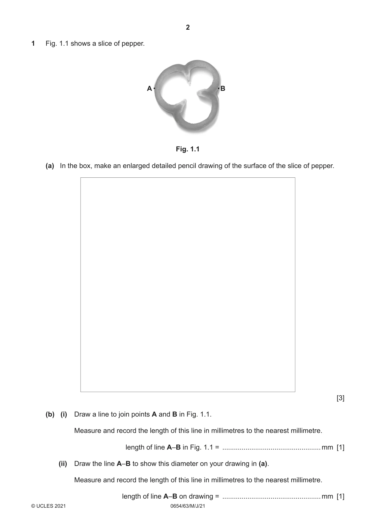 Cambridge IGCSE Sciences - Co-ordinated (Double) 0654 2021 May/June Paper 6 · Variant 3 question paper, page 2 of 16