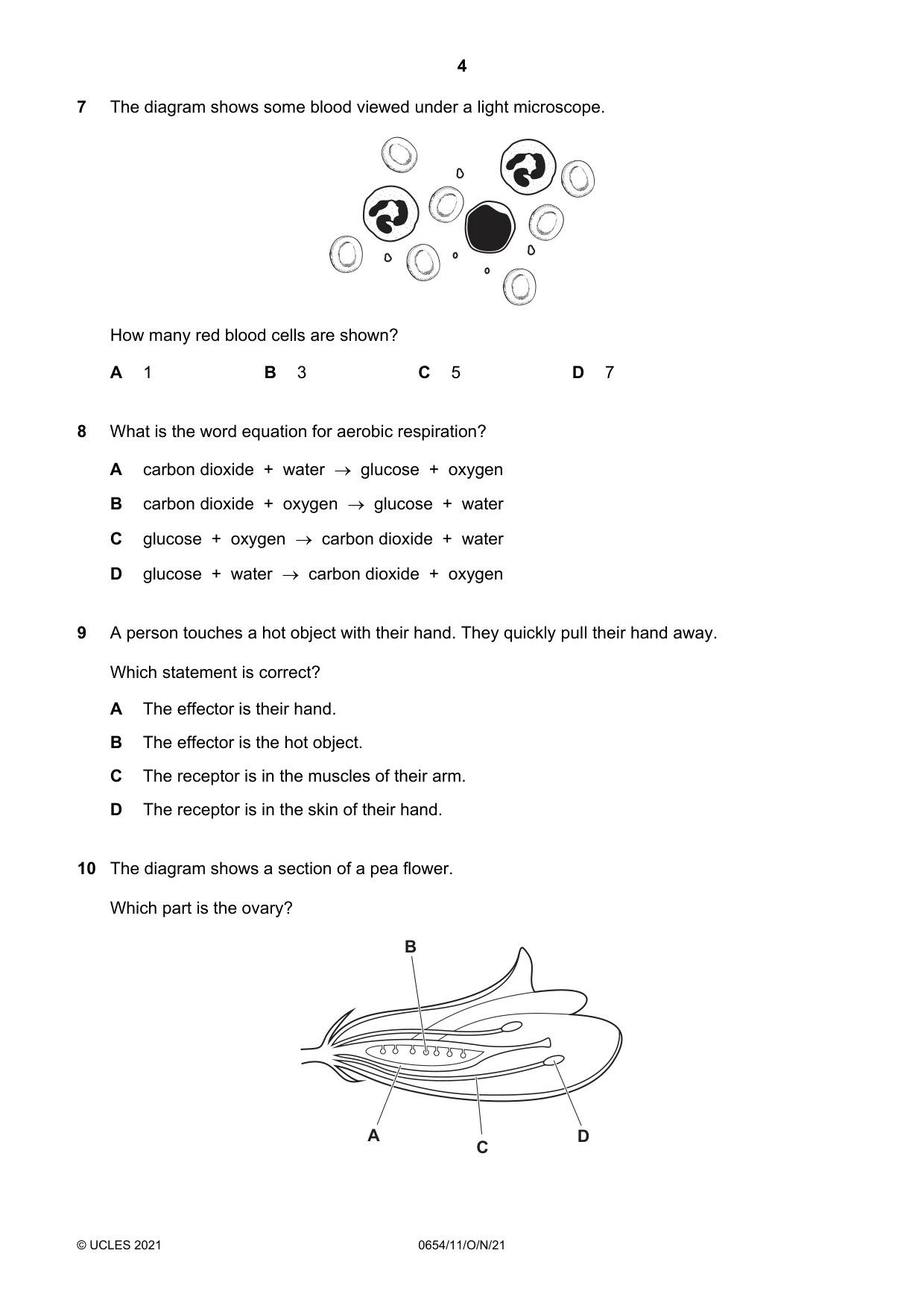 Cambridge IGCSE Sciences - Co-ordinated (Double) 0654 2021 Oct/Nov Paper 1 · Variant 1 question paper, page 4 of 16