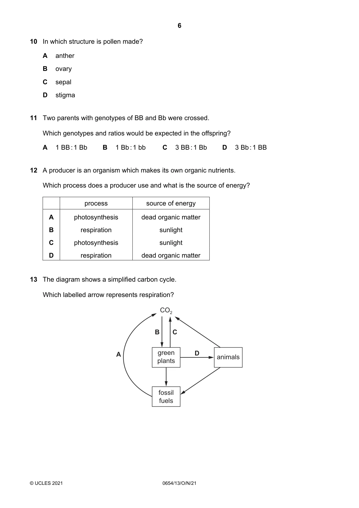 Cambridge IGCSE Sciences - Co-ordinated (Double) 0654 2021 Oct/Nov Paper 1 · Variant 3 question paper, page 6 of 16
