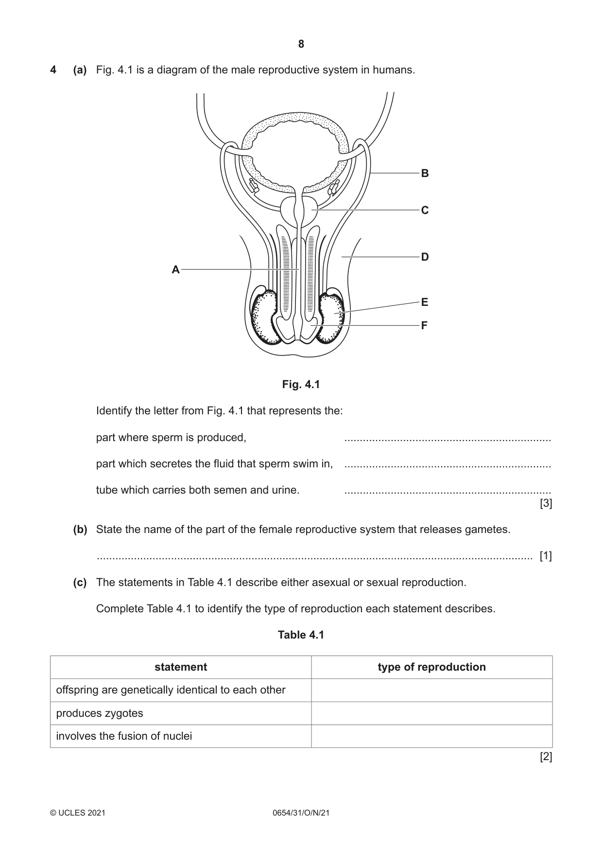 Cambridge IGCSE Sciences - Co-ordinated (Double) 0654 2021 Oct/Nov Paper 3 · Variant 1 question paper, page 8 of 24