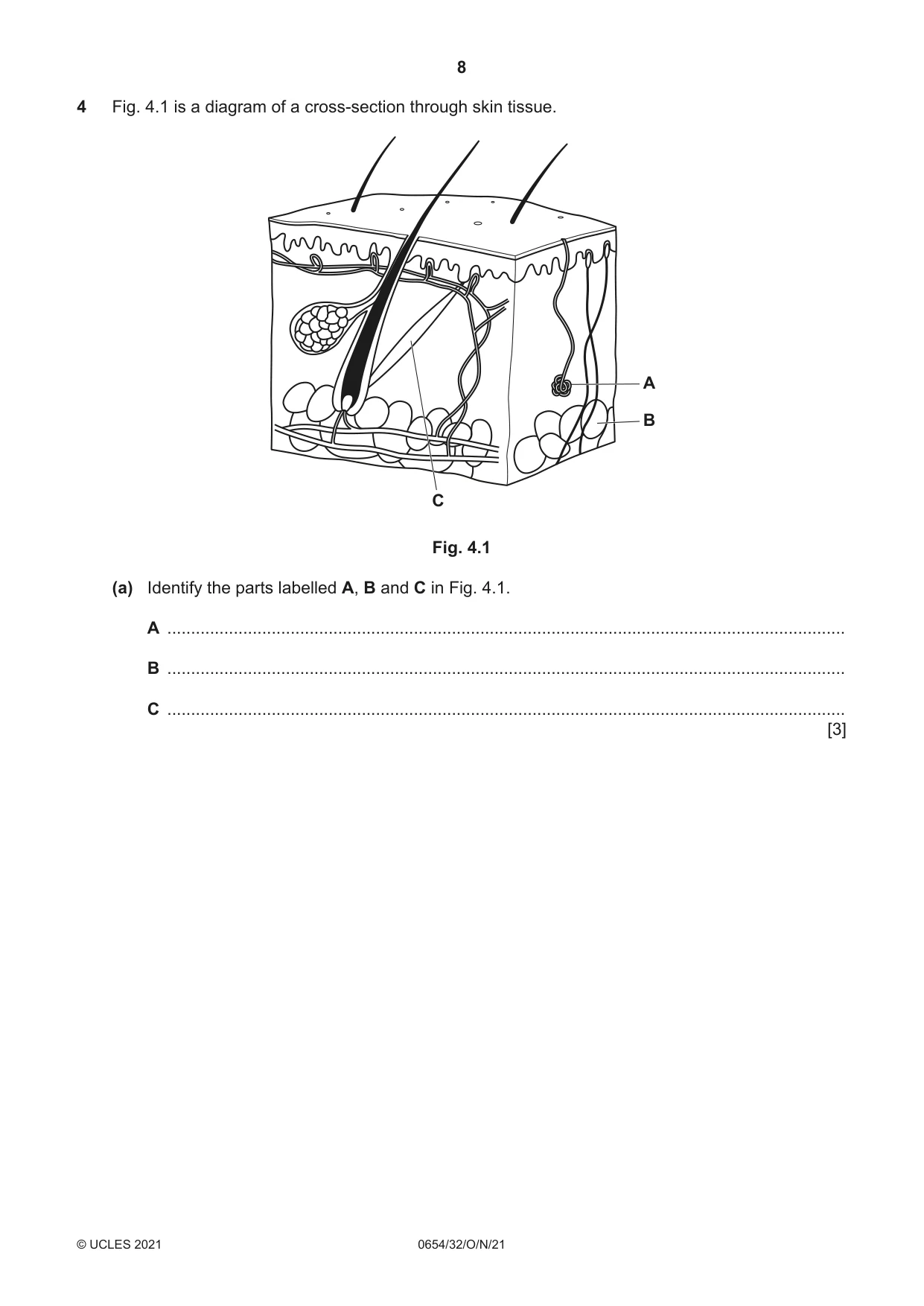 Cambridge IGCSE Sciences - Co-ordinated (Double) 0654 2021 Oct/Nov Paper 3 · Variant 2 question paper, page 8 of 28