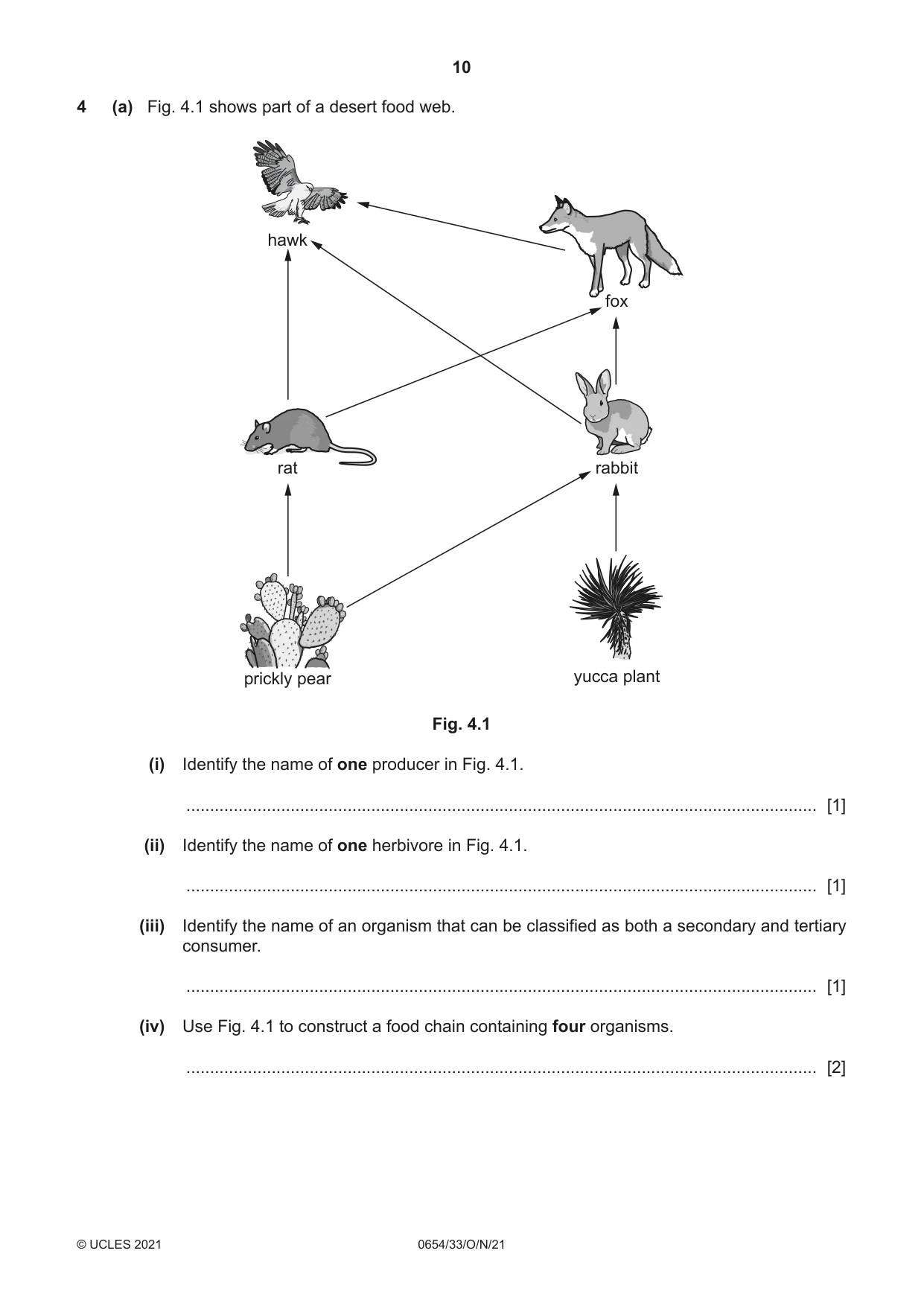 Cambridge IGCSE Sciences - Co-ordinated (Double) 0654 2021 Oct/Nov Paper 3 · Variant 3 question paper, page 10 of 28
