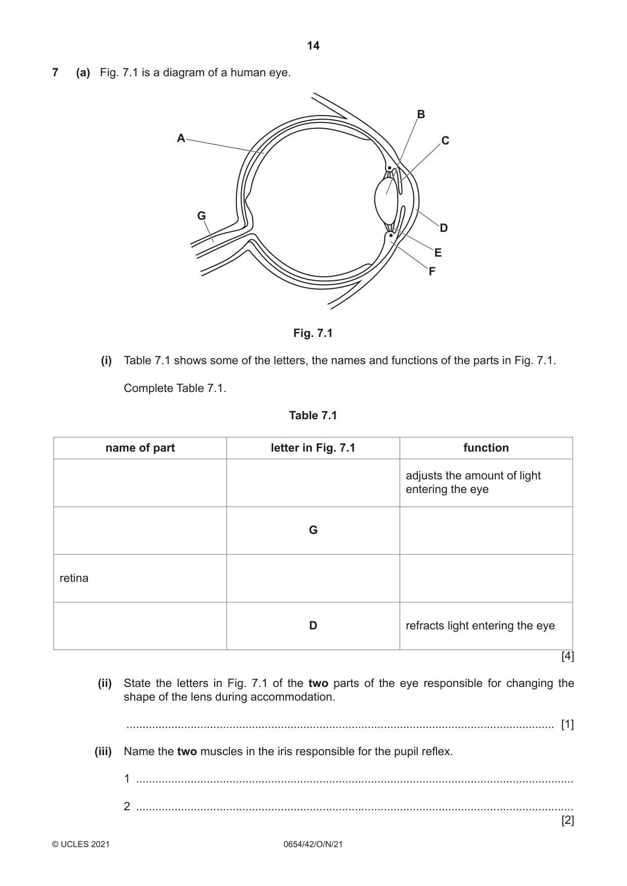 Cambridge IGCSE Sciences - Co-ordinated (Double) 0654 2021 Oct/Nov Paper 4 · Variant 2 question paper, page 14 of 28