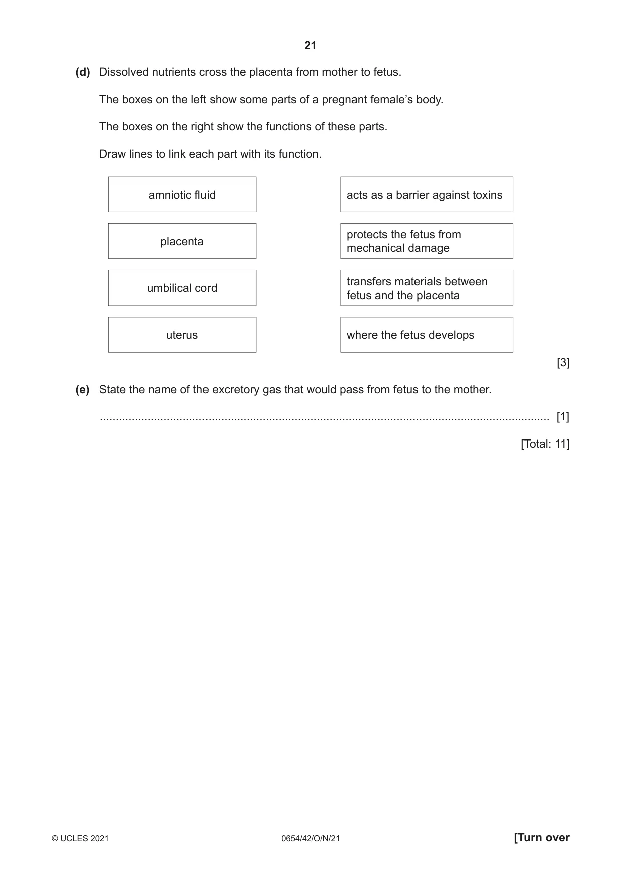 Cambridge IGCSE Sciences - Co-ordinated (Double) 0654 2021 Oct/Nov Paper 4 · Variant 2 question paper, page 21 of 28